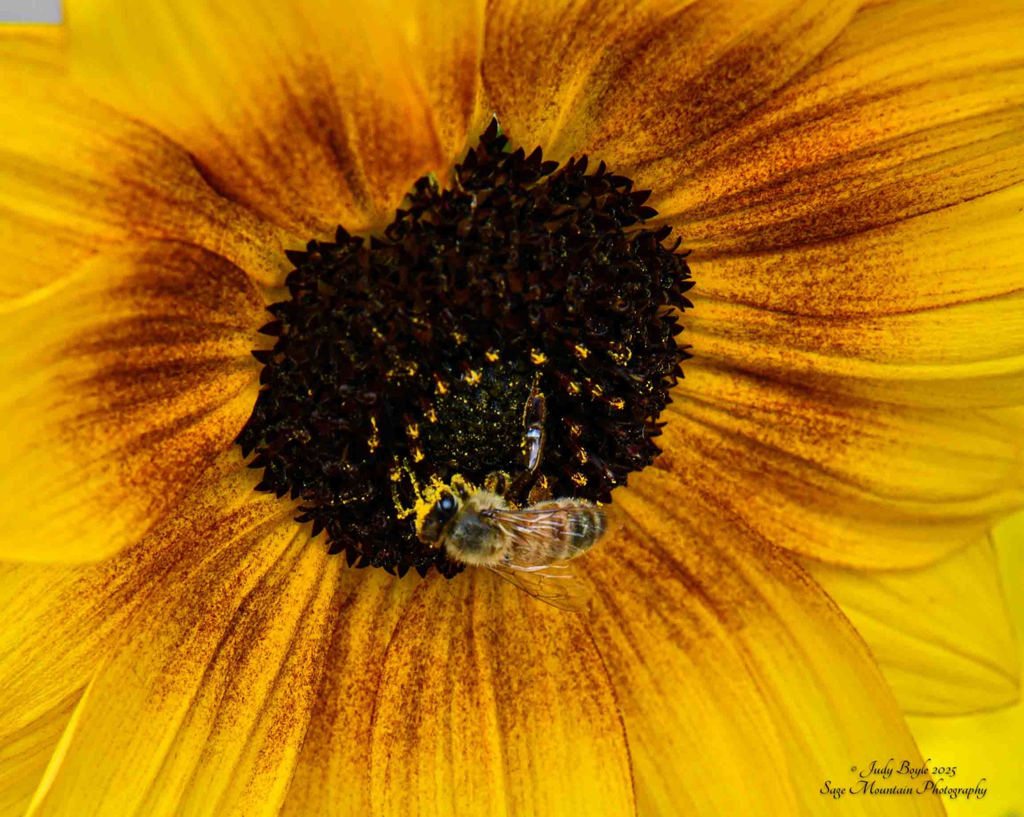 Community photo by Judy