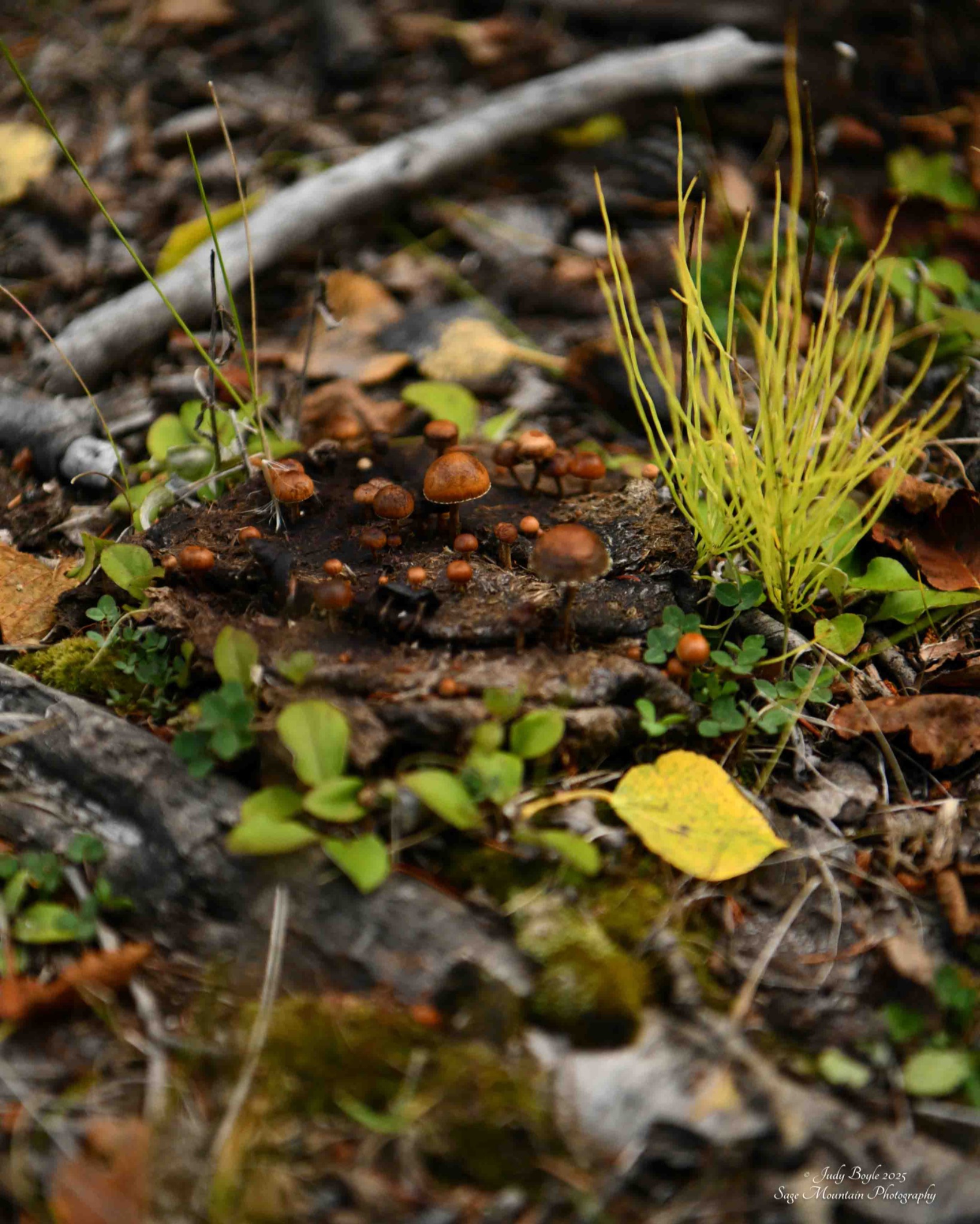 Community photo by Judy