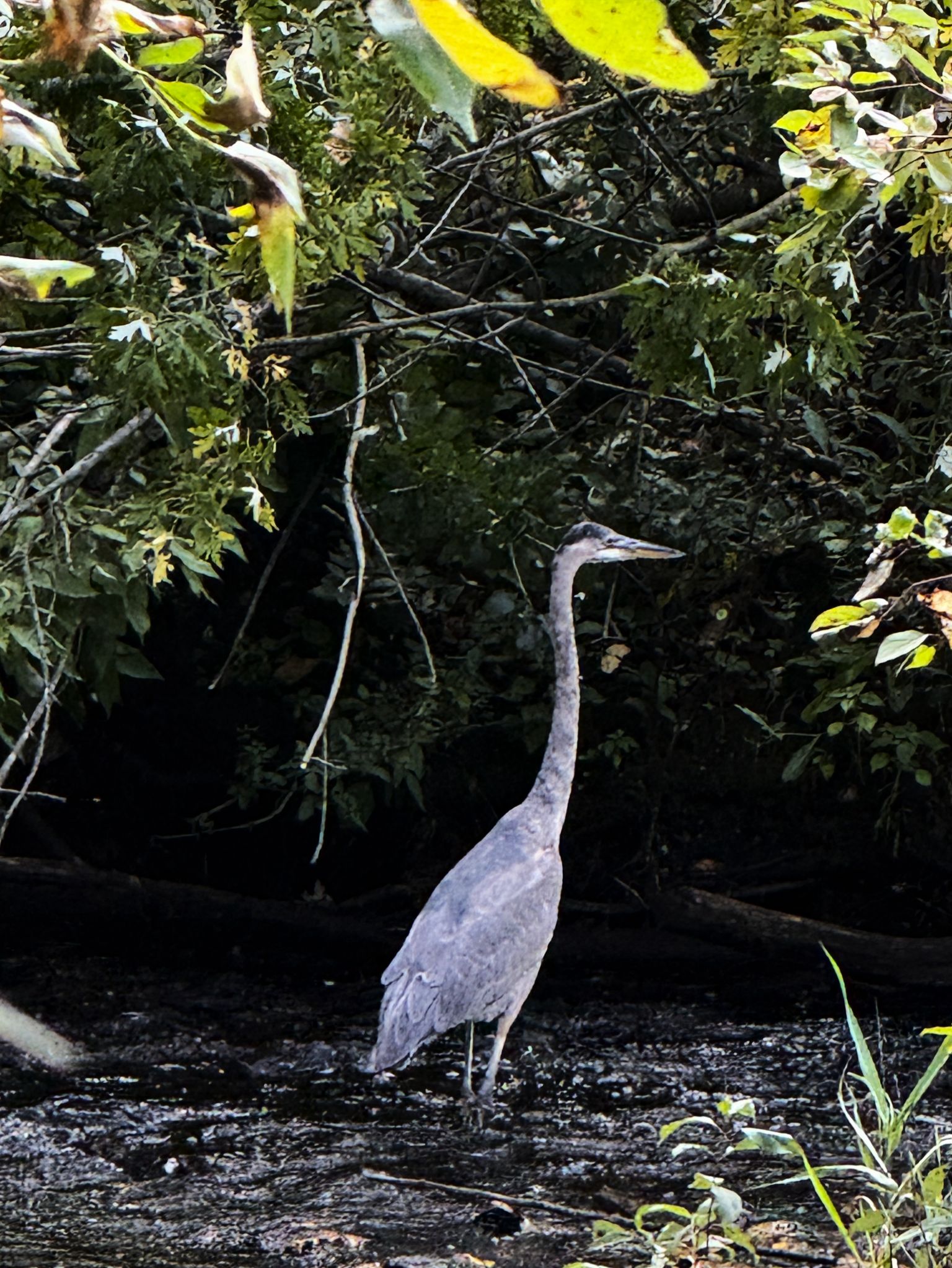 Community photo by Asha