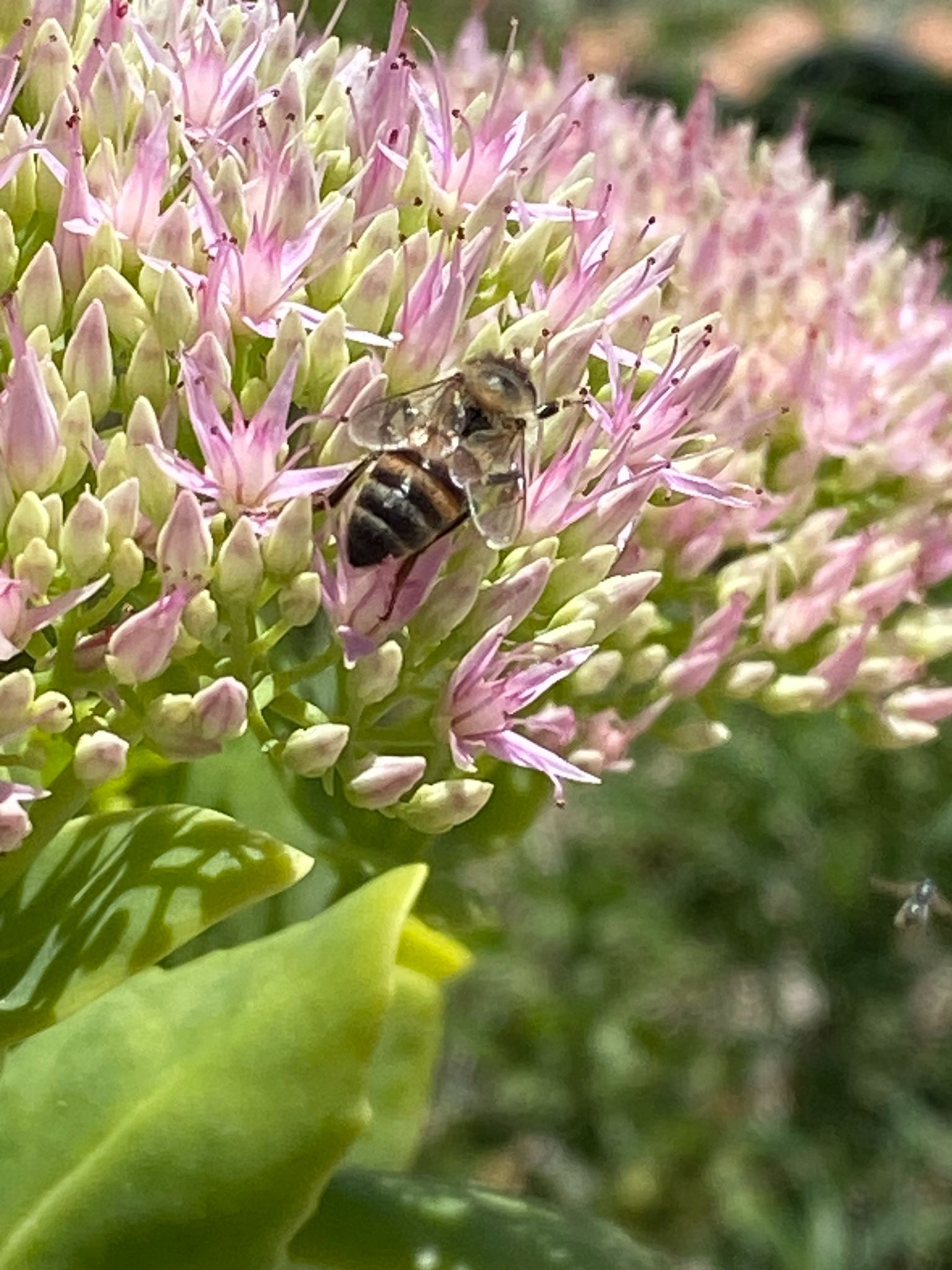 Community photo by Lionel