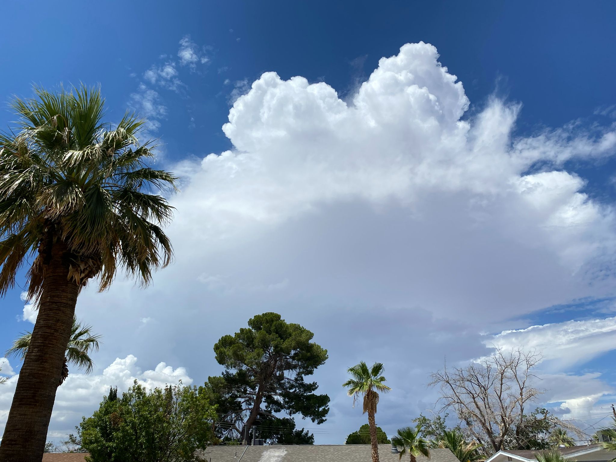 Community photo by Lionel Huizar | El Paso, Texas