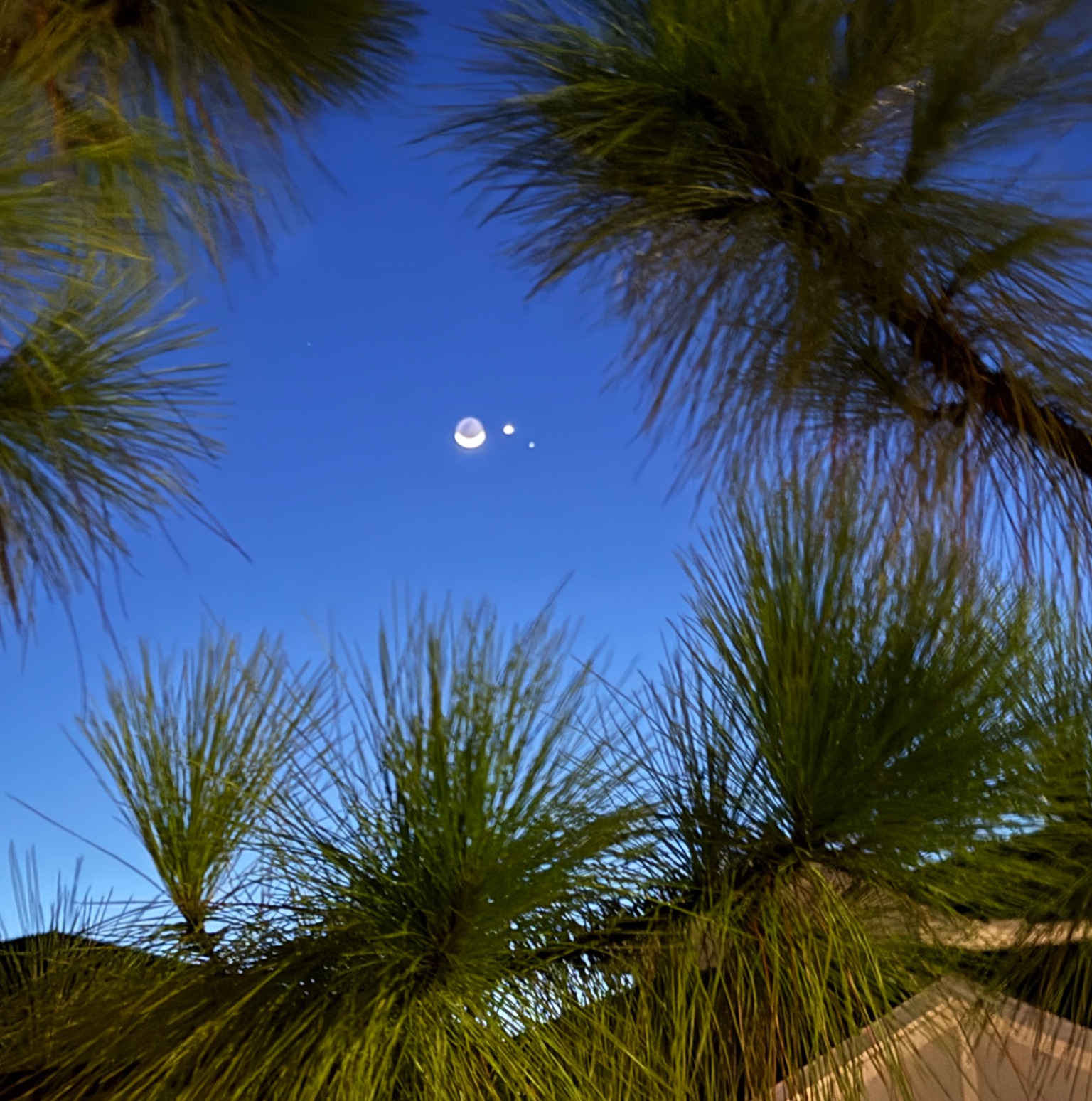 Community photo by James Figge | Punta Gorda, FL