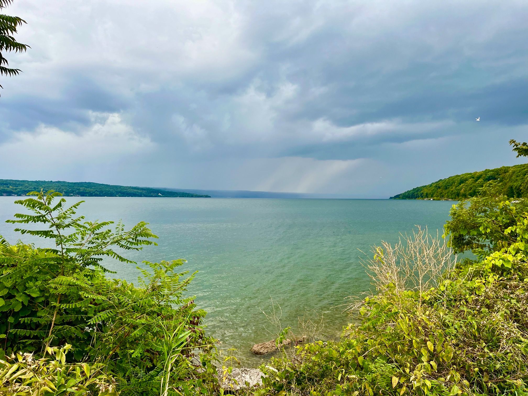 Community photo by Nanci