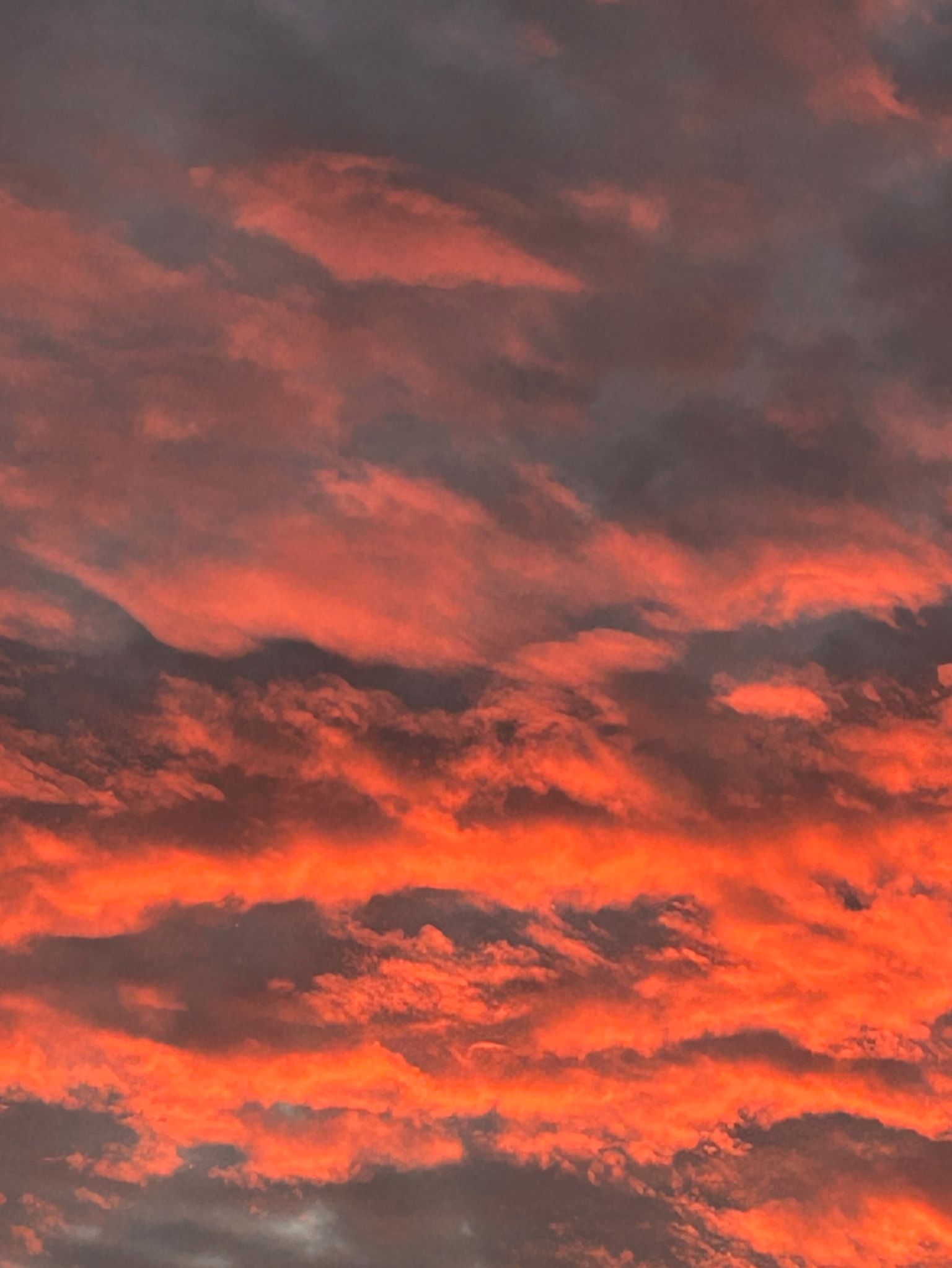 Community photo by Karen Rzonca | East Northport NY US