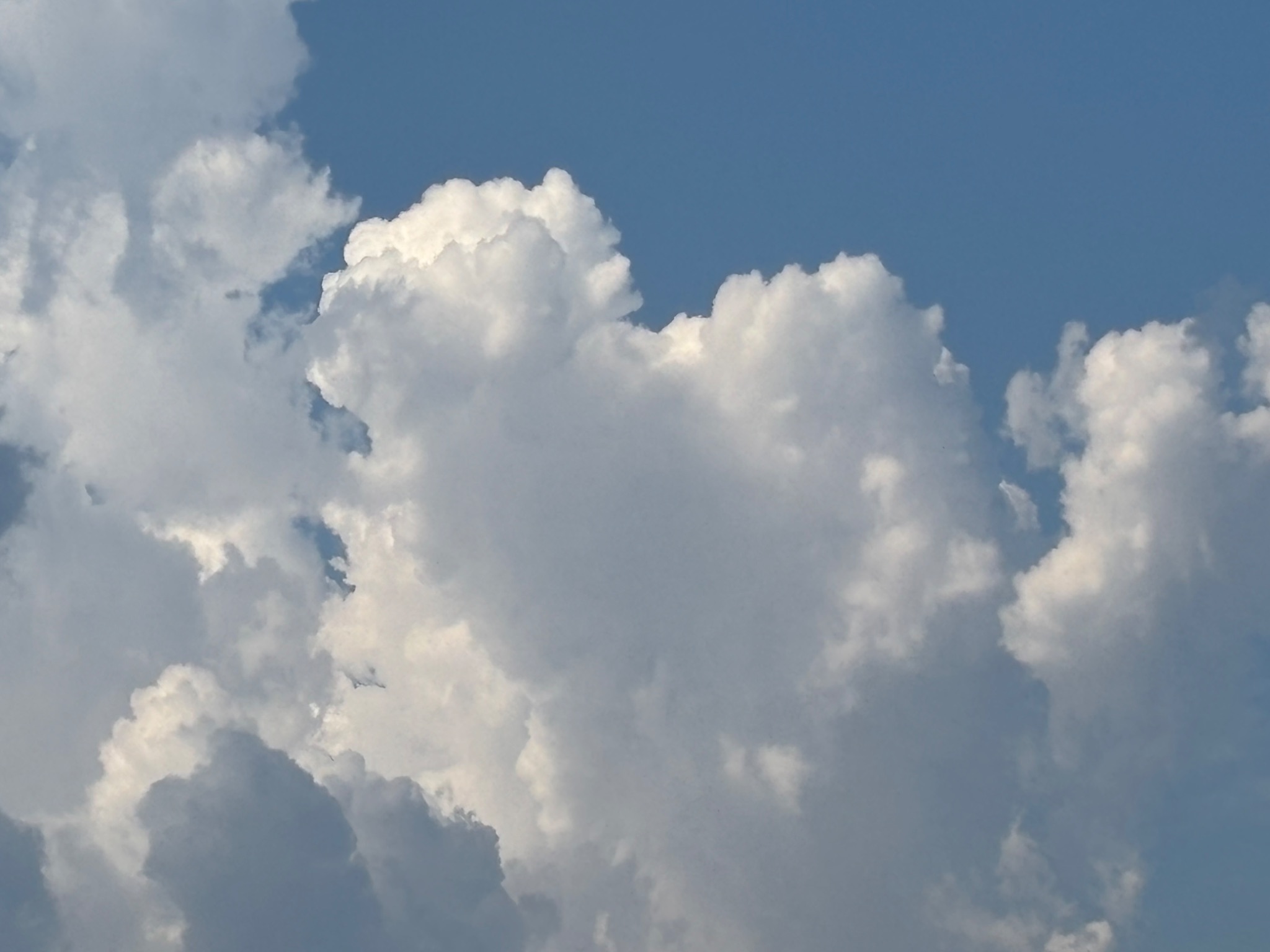 Community photo by Kathy