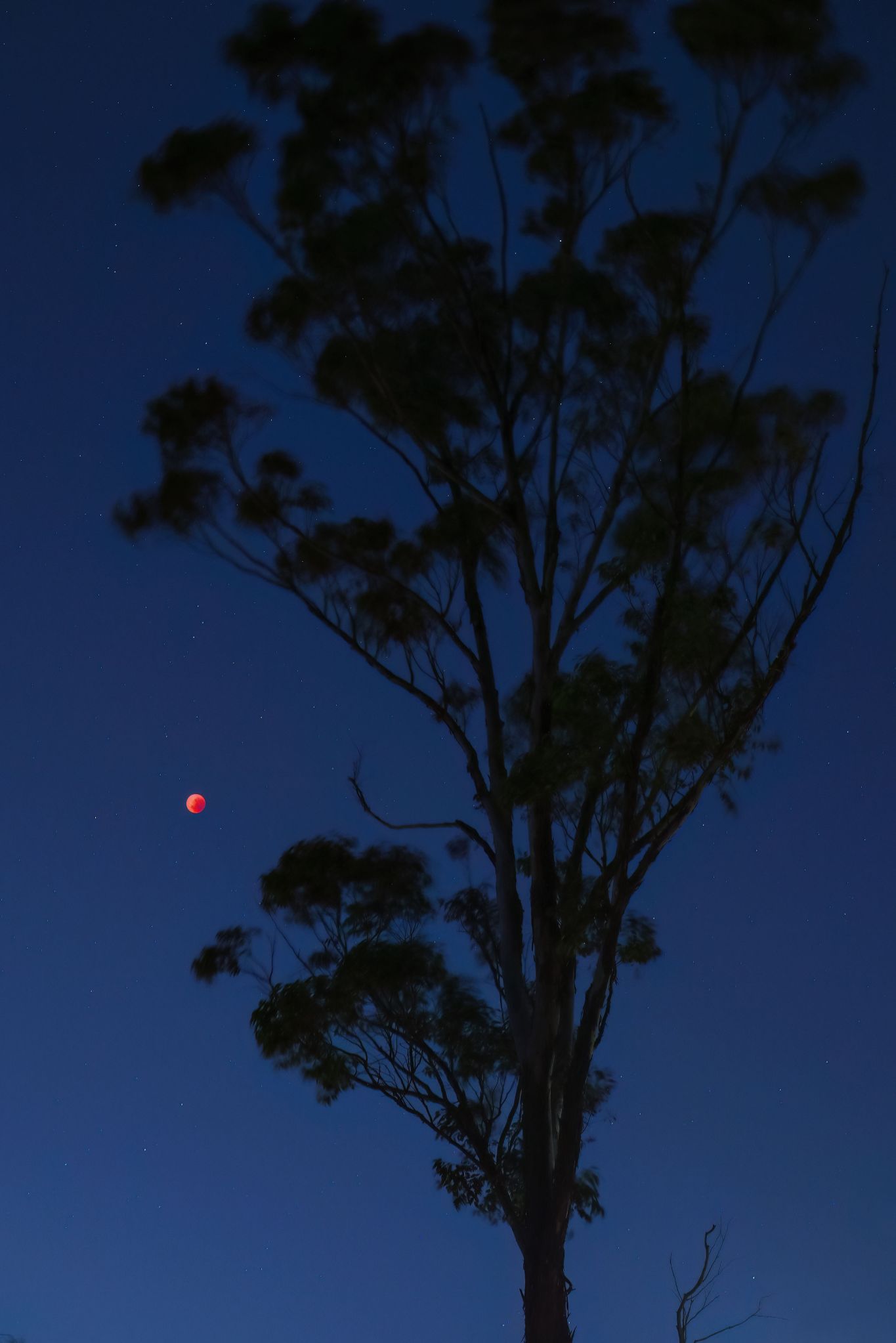 Community photo by Marco