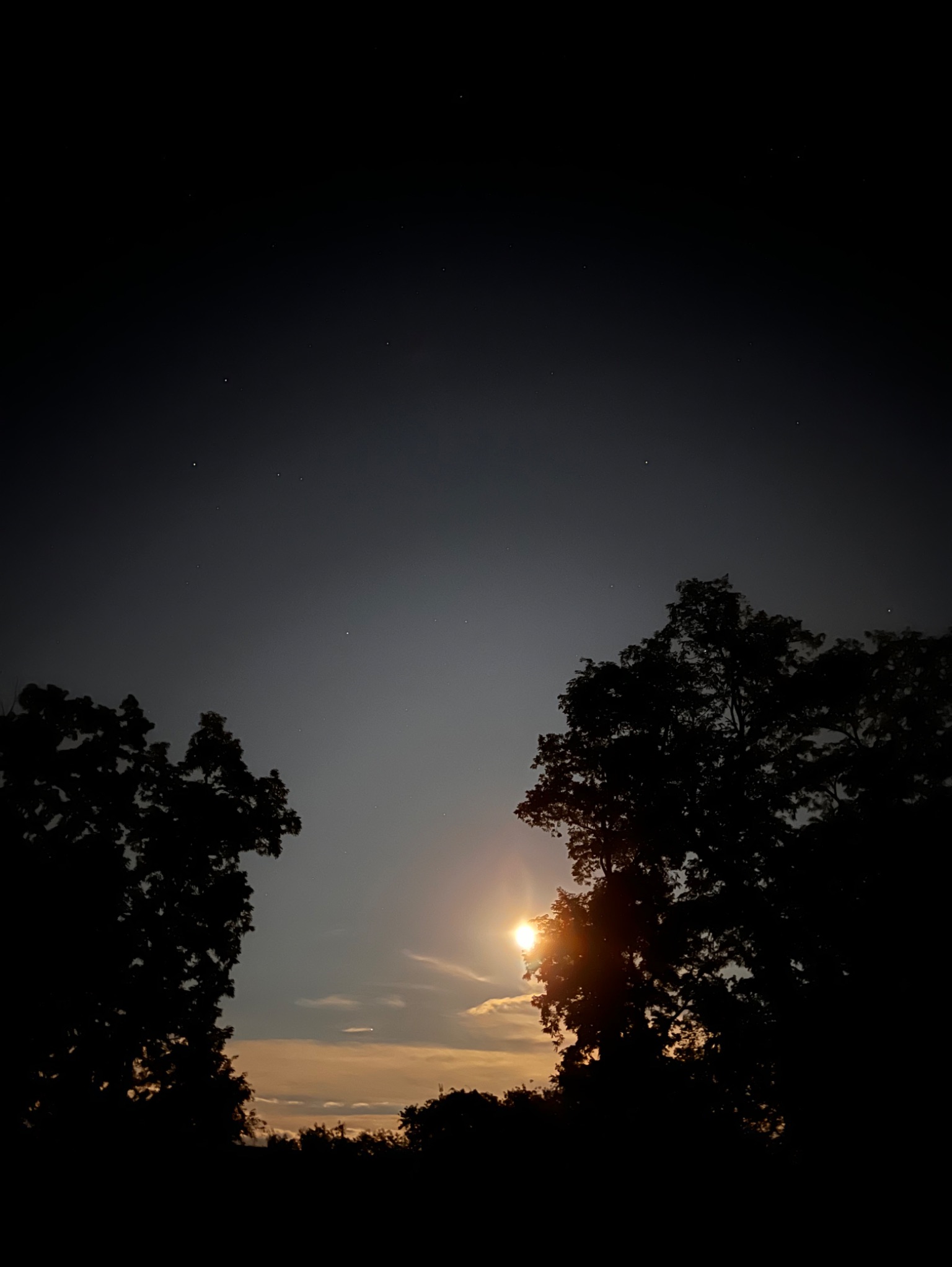 Community photo by Sudhir