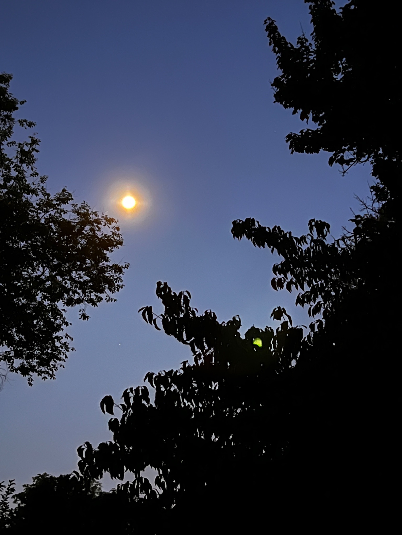 Community photo by Sudhir