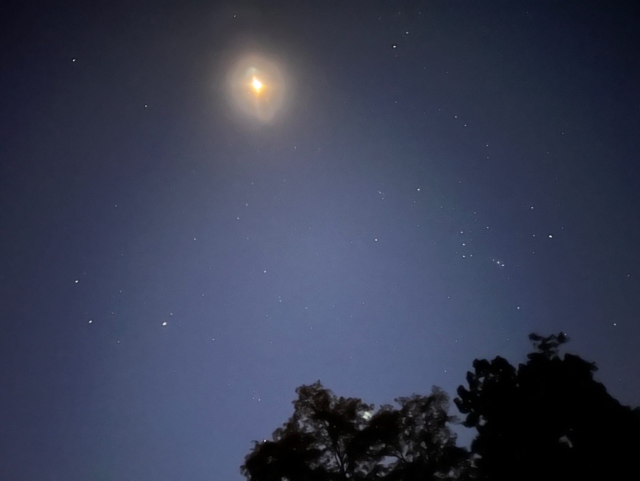 Community photo by Sudhir