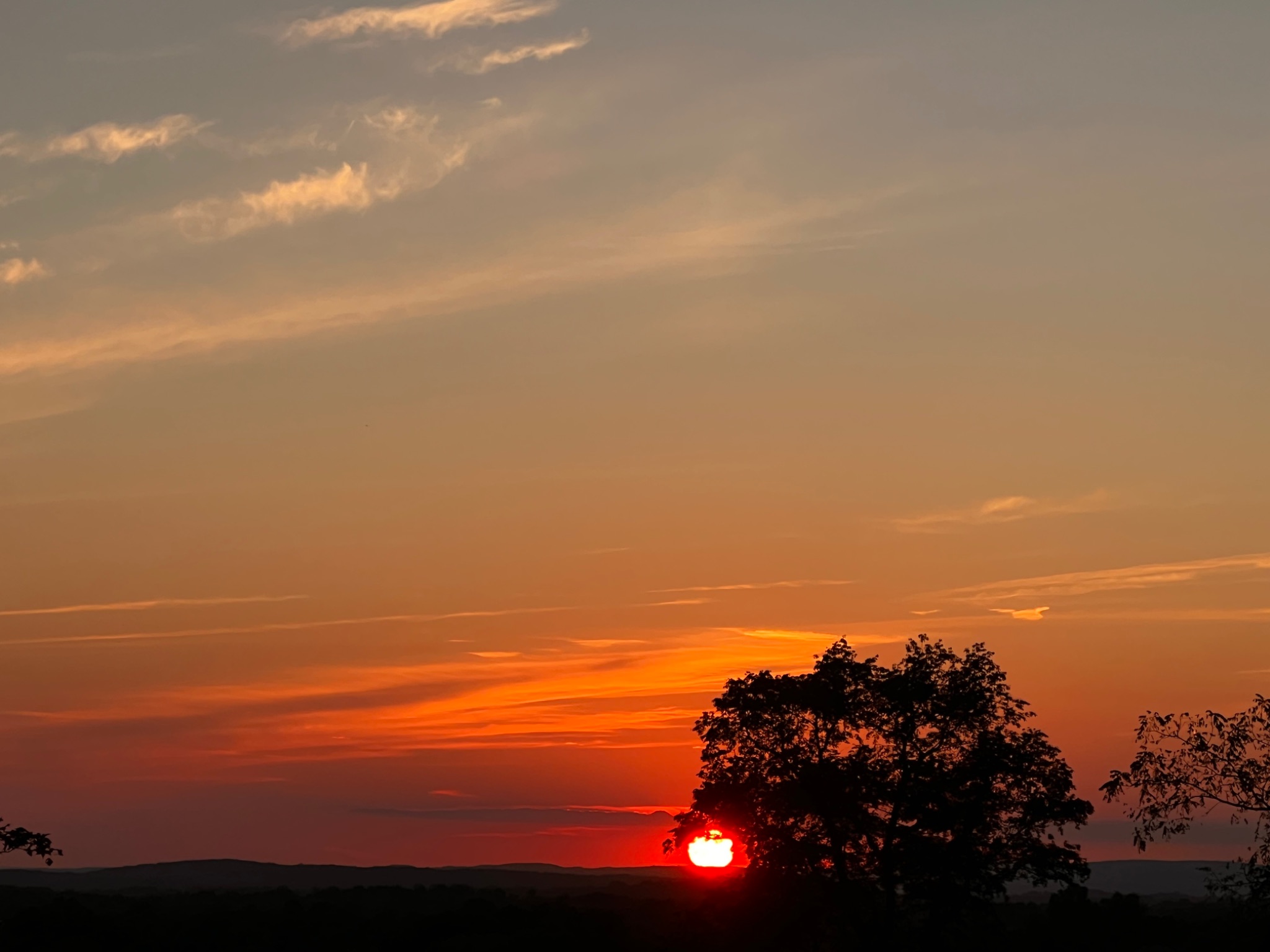 Community photo by Sudhir