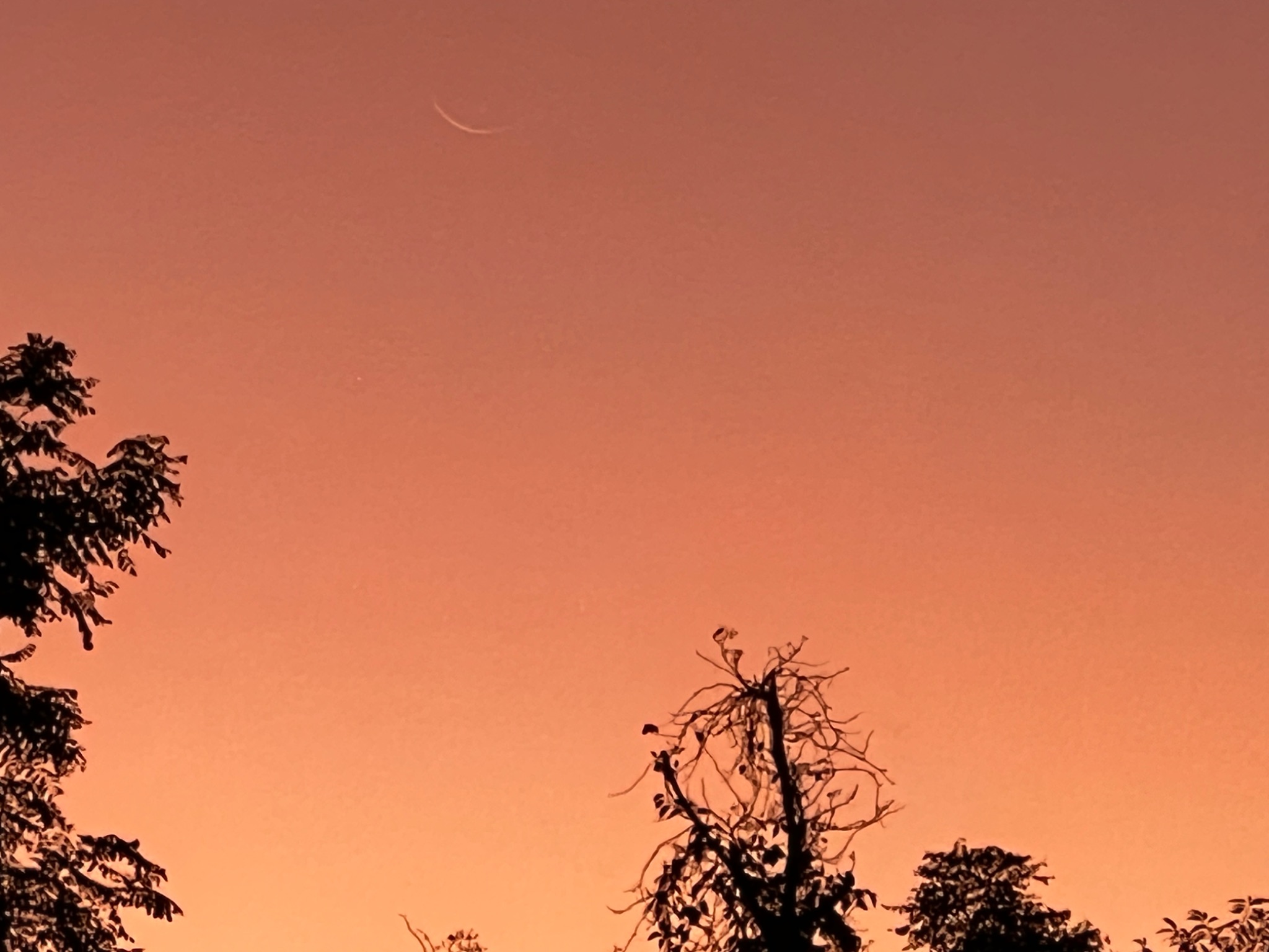 Community photo by Sudhir