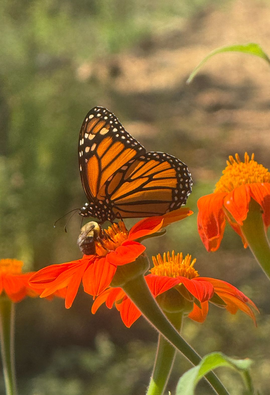 Community photo by Chris