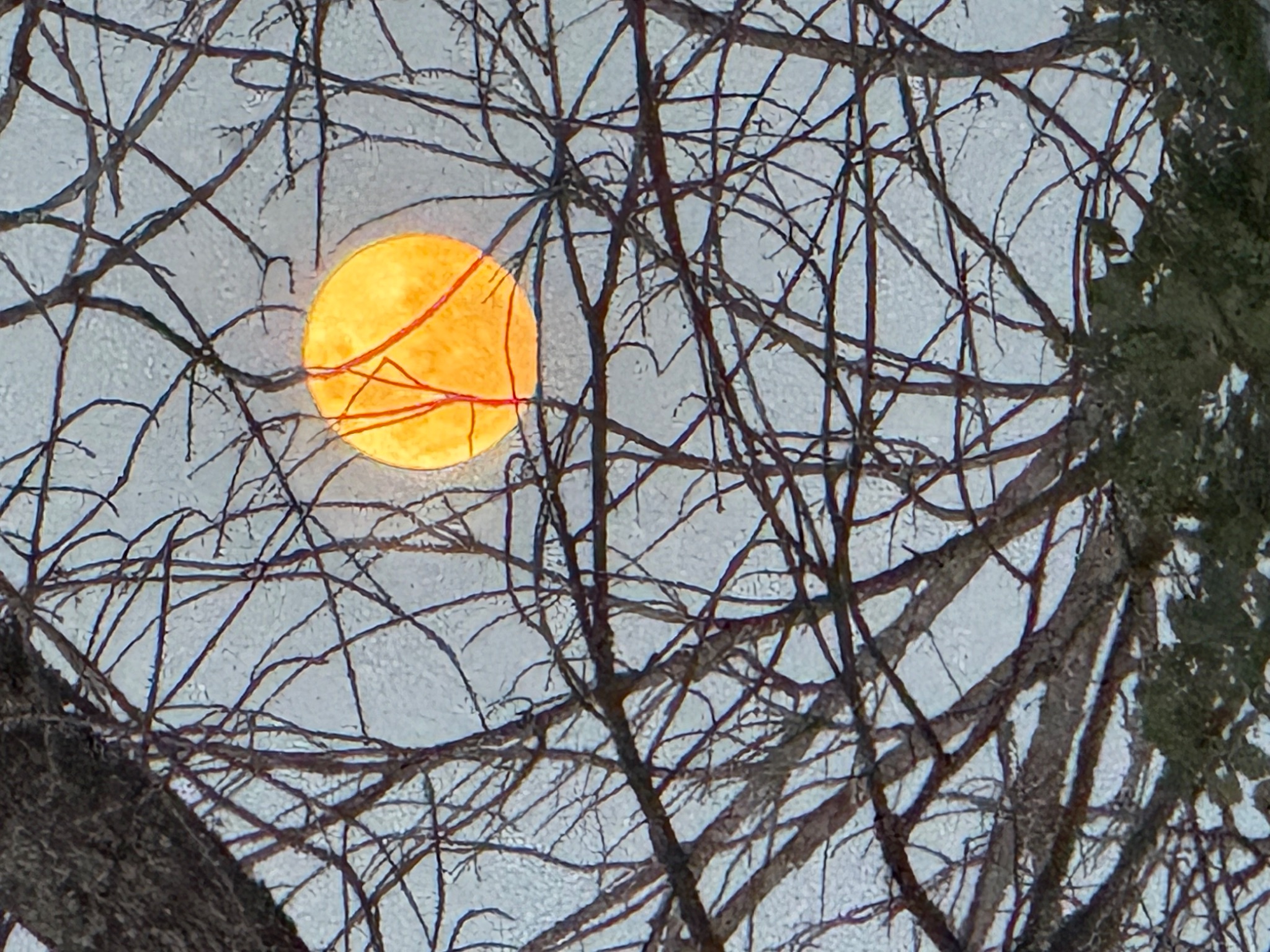 Community photo by Nancy Case | Boone County, Missouri