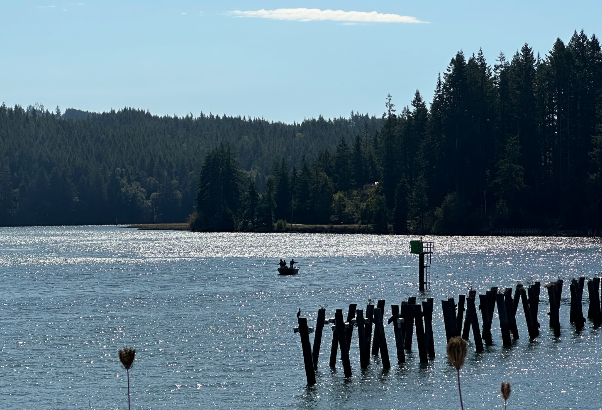 Community photo by Victoria