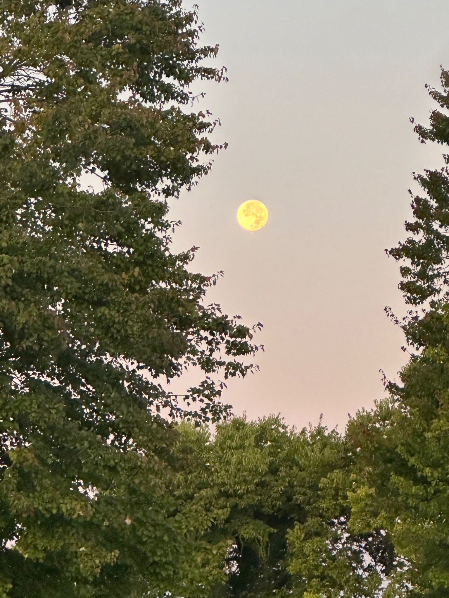 Community photo by Jennifer