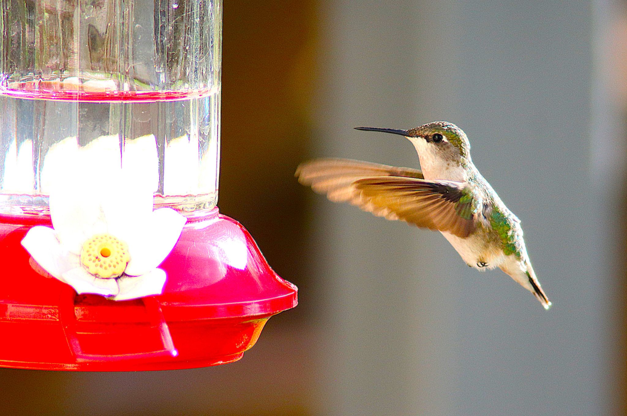 Community photo by Randy Strauss | Omaha, Nebraska suburb