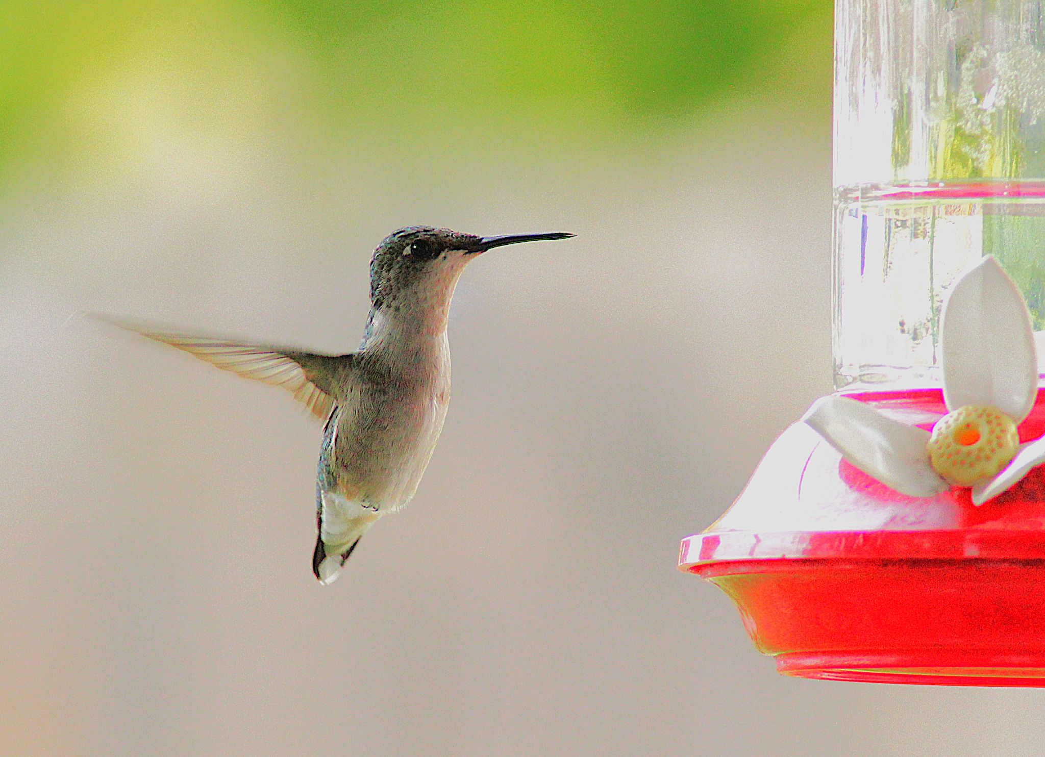 Community photo by Randy