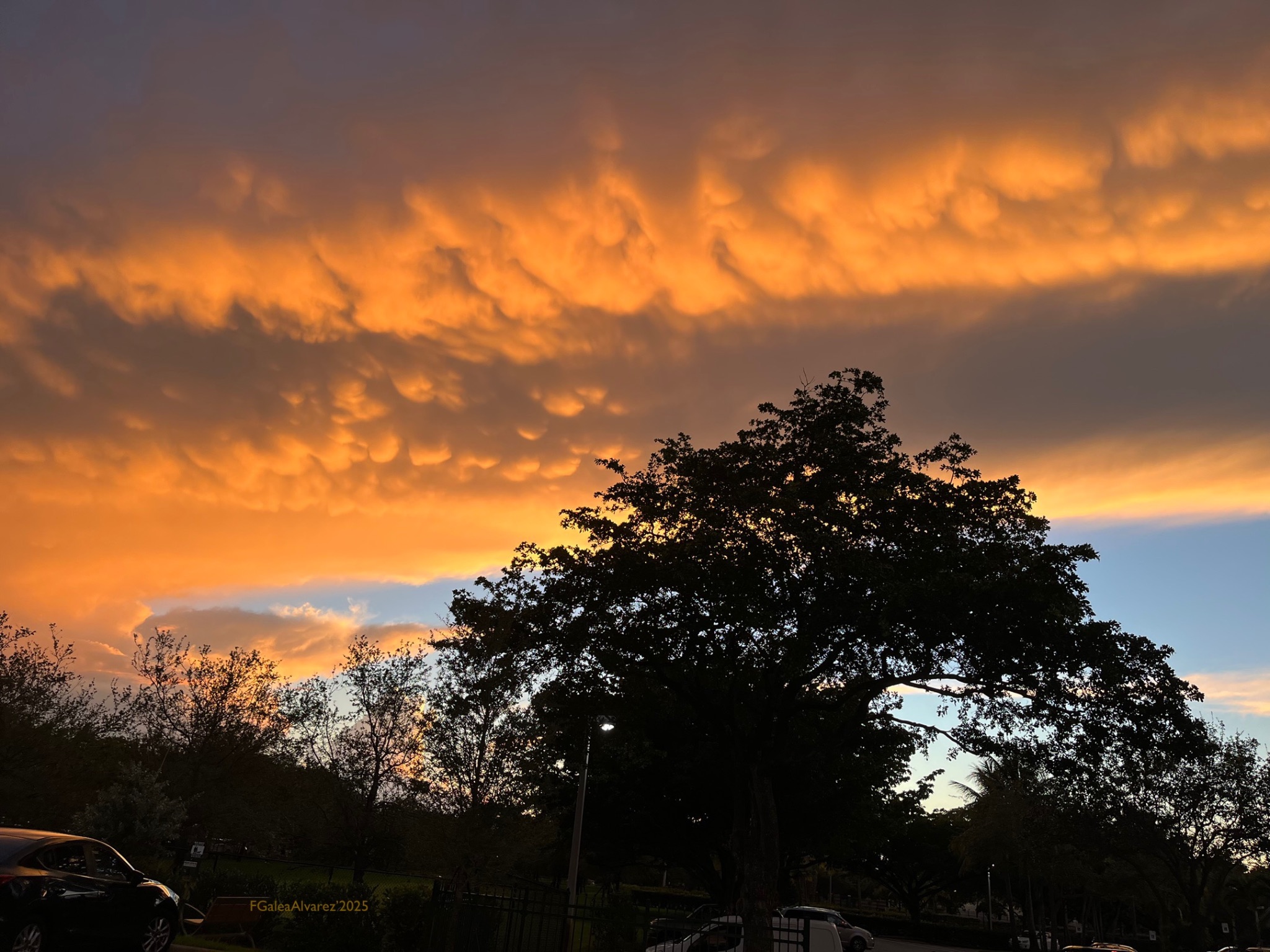 Community photo by Francia Galea Alvarez | Pompano Beach, Florida, USA