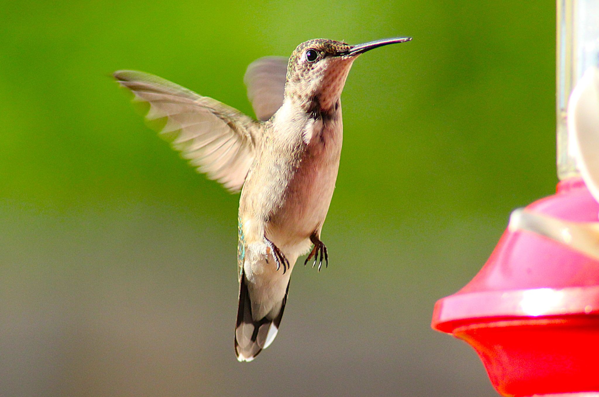 Community photo by Randy