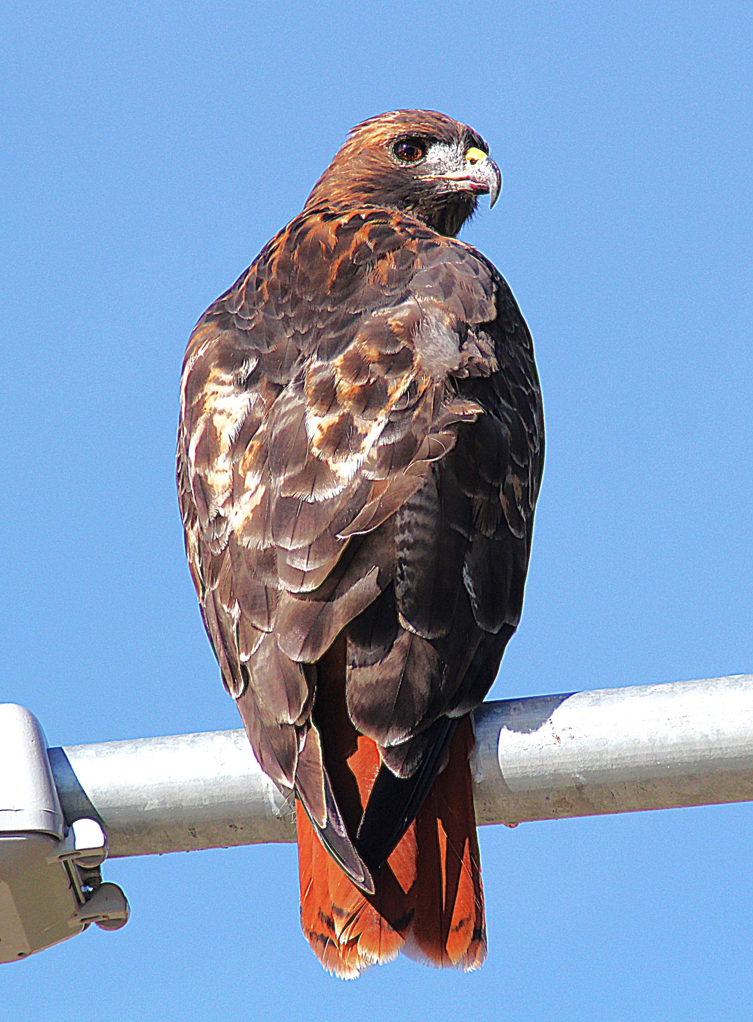 Community photo by Randy Strauss | A suburb of Omaha, Nebraska