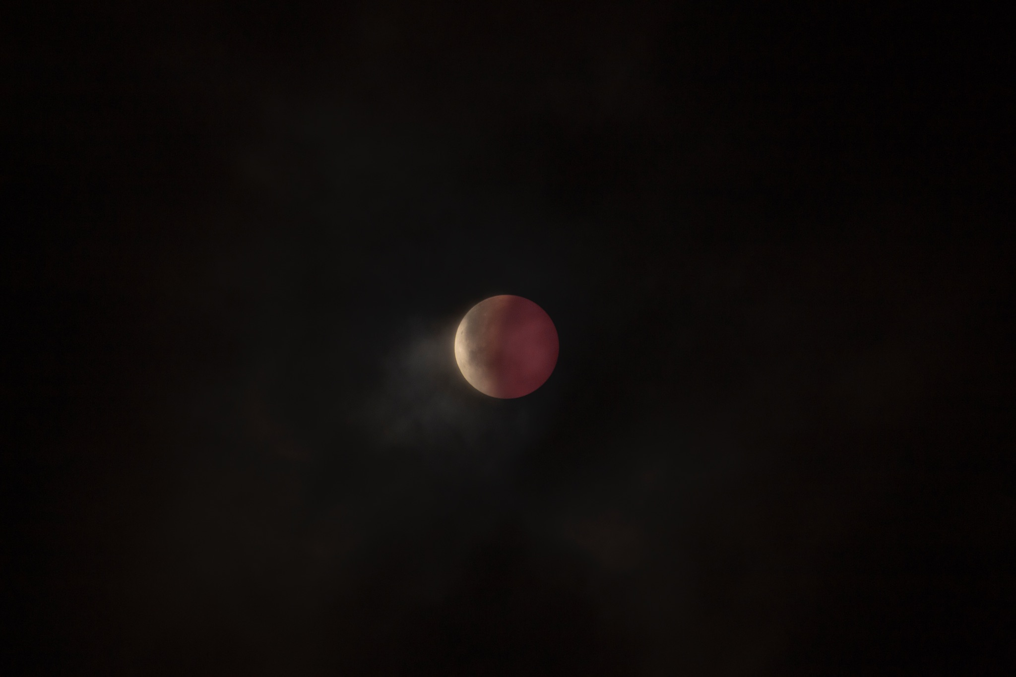 Community photo by Muhammad Abdul Rehman | Gujrat,Punjab,Pakistan