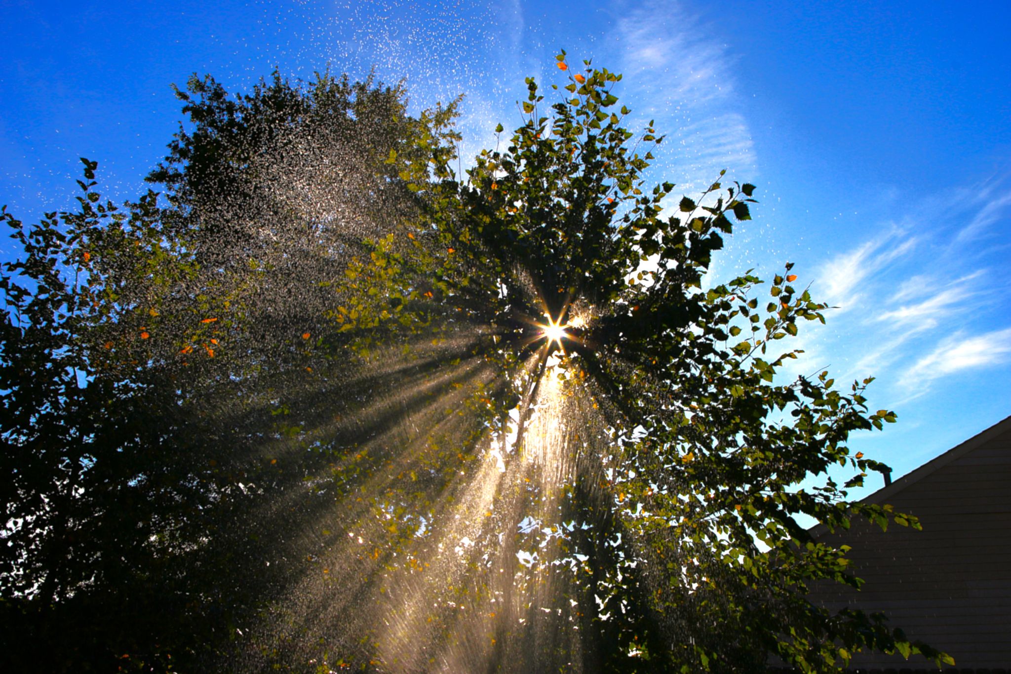 Community photo by Bill Kozar | Taylorsville, Indiana. USA