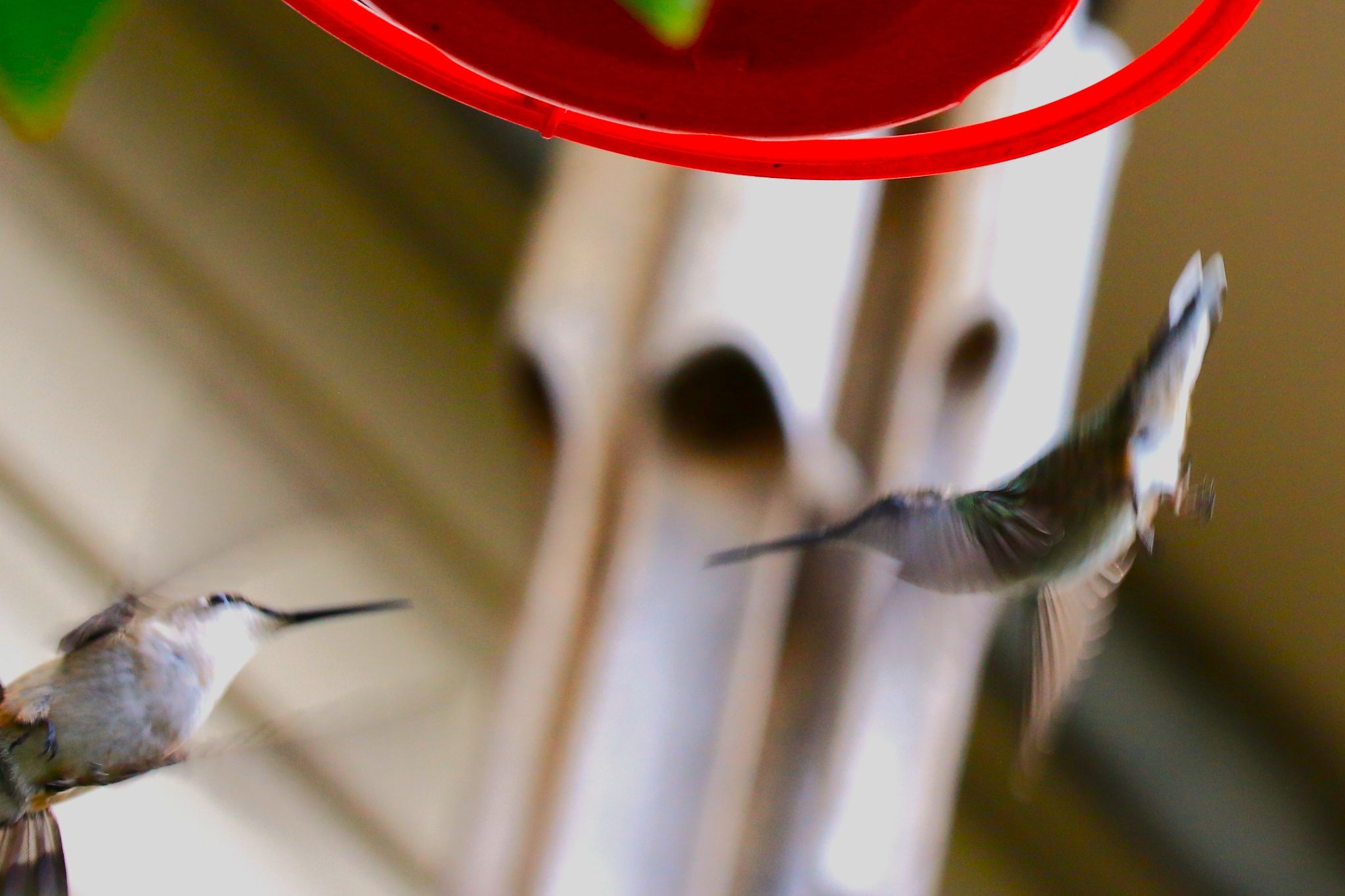 Community photo by Bill Kozar | Taylorsville< Indiana. USA