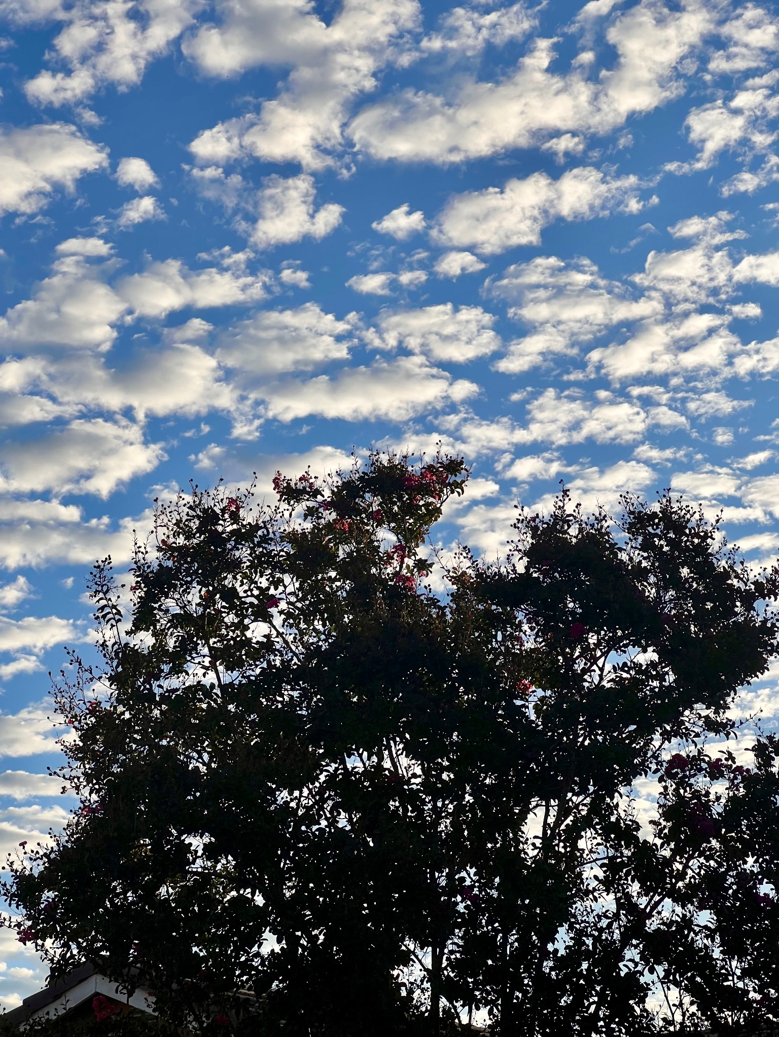 Community photo by Dolores Moreno | Highland, CA