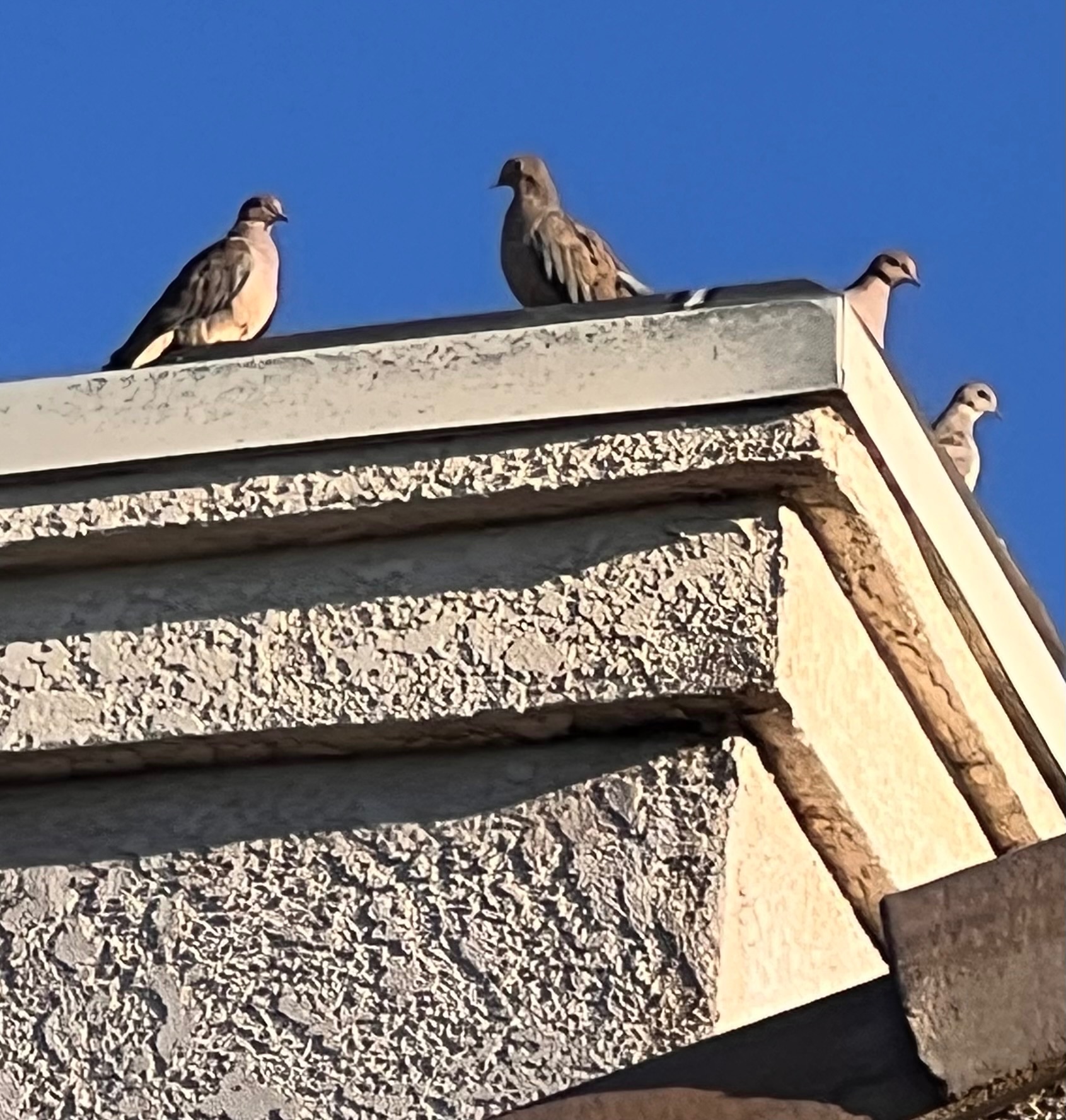 Community photo by Dolores