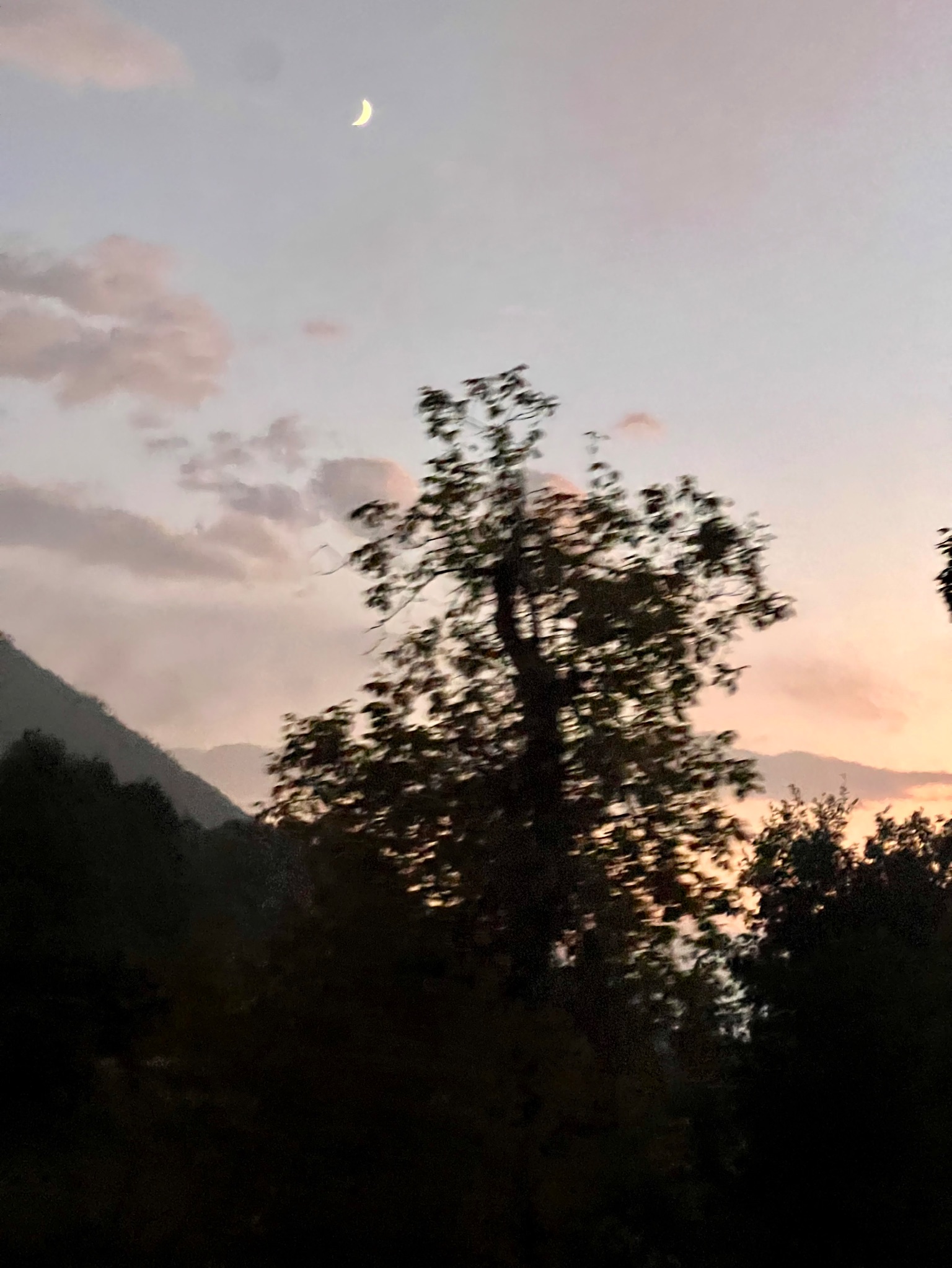 Community photo by Dolores Moreno | Riley Farm, Oak Glen , CA