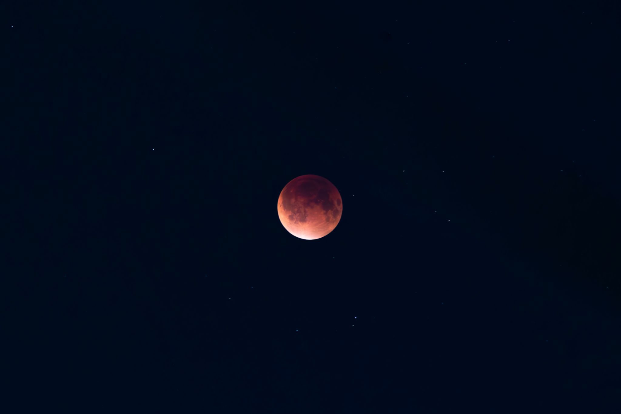 Community photo by Tarush Gulati | Ghaziabad,Uttar Pradesh,India