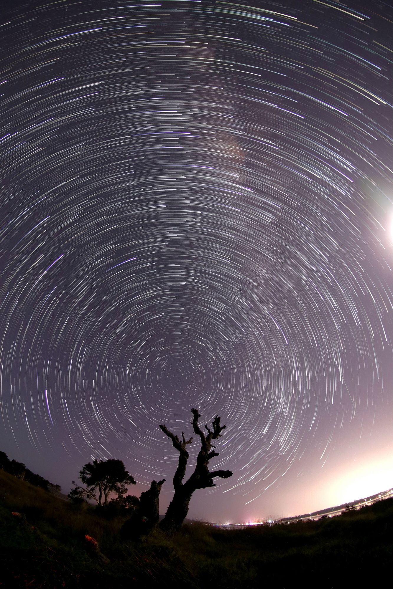 Community photo by Andrea Deegan | Albany West Australia Australia