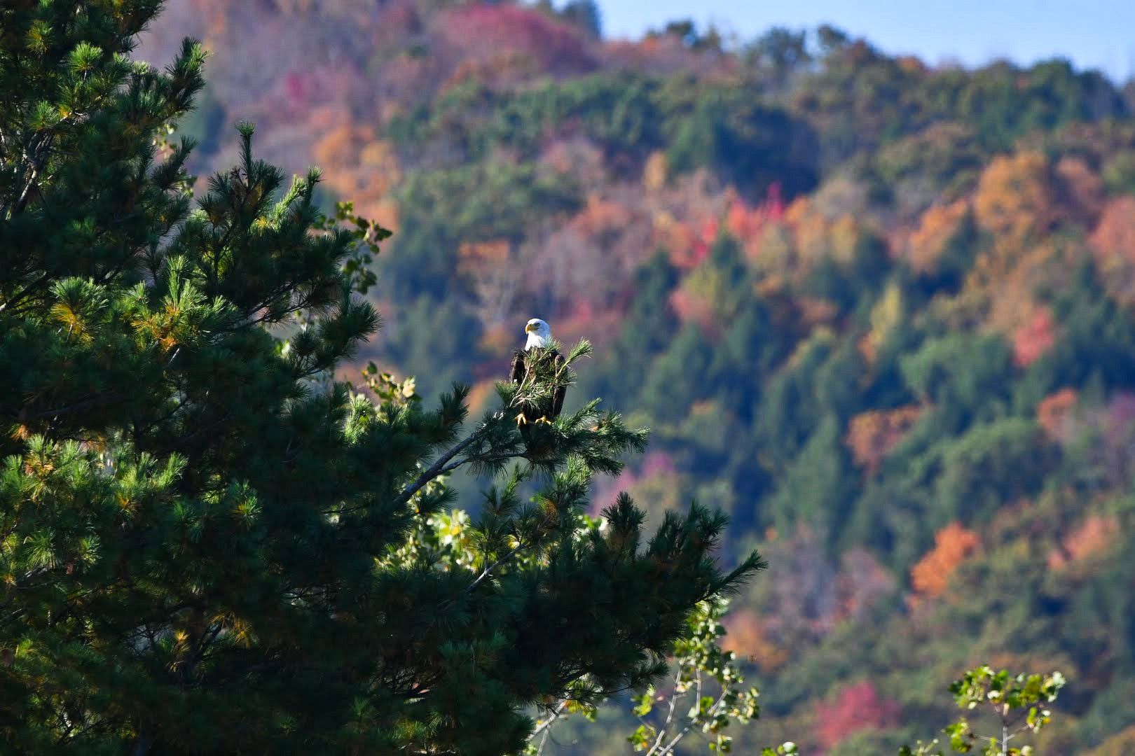 Community photo by Lorraine