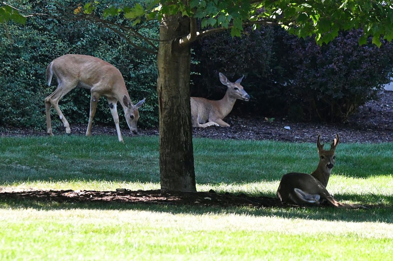 Community photo by Lorraine