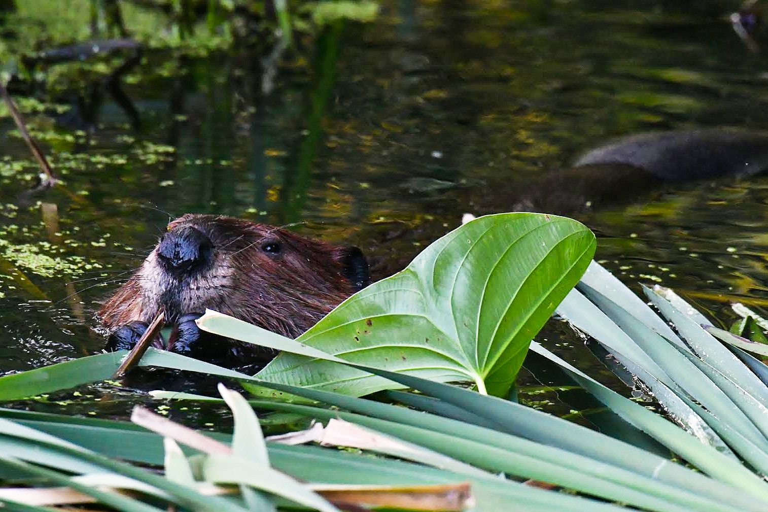 Community photo by Lorraine