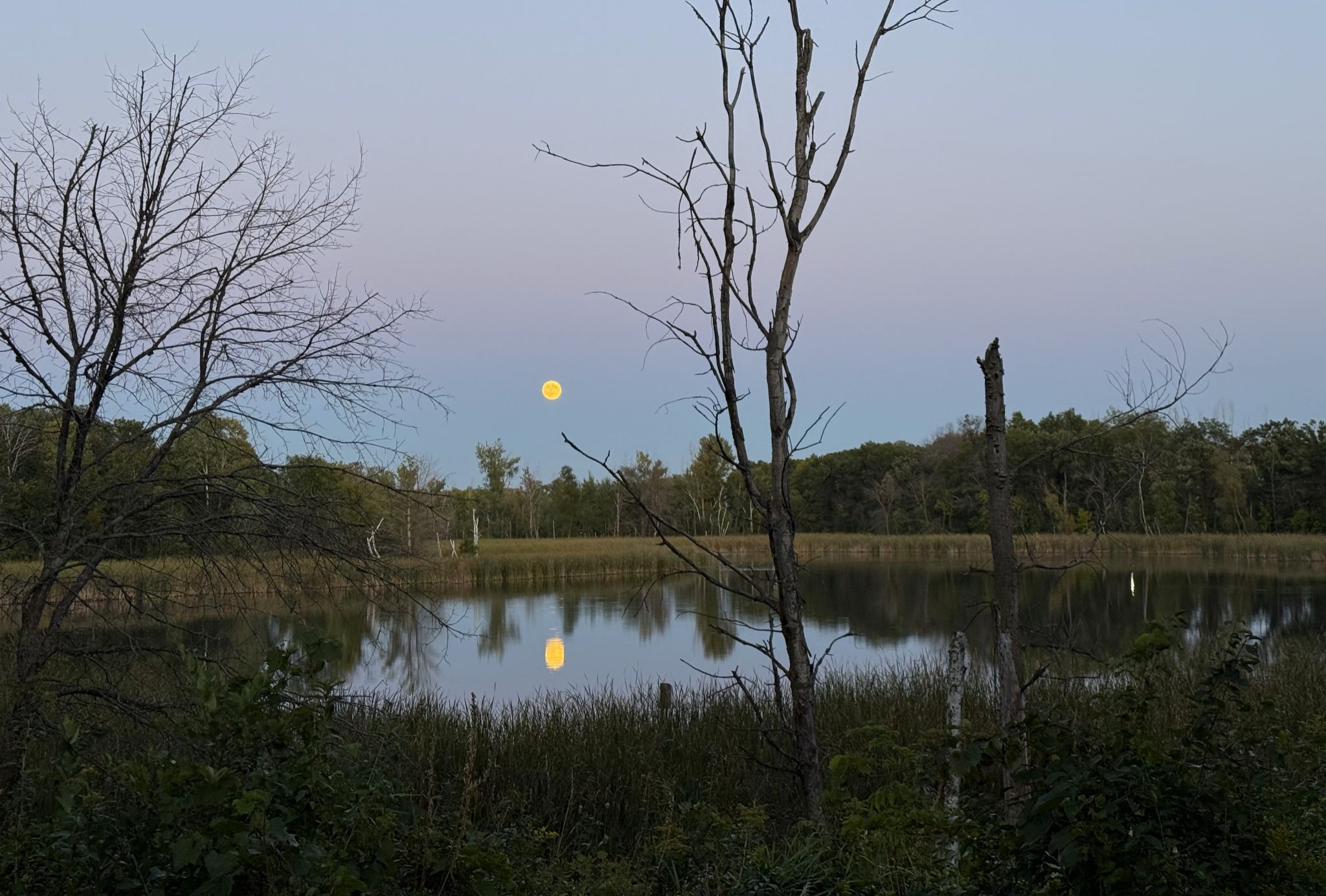 Community photo by Asha