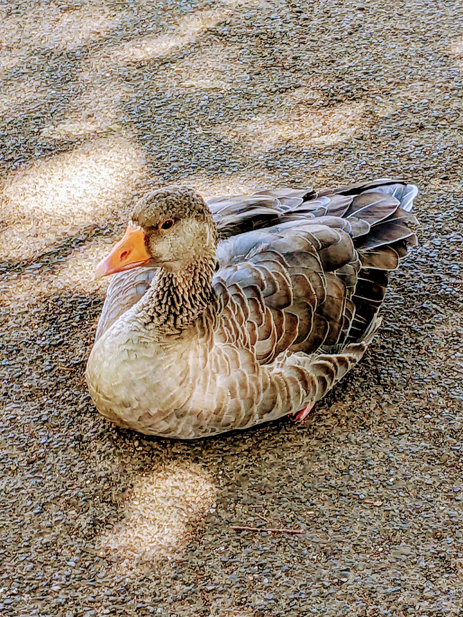 Community photo by Kevan