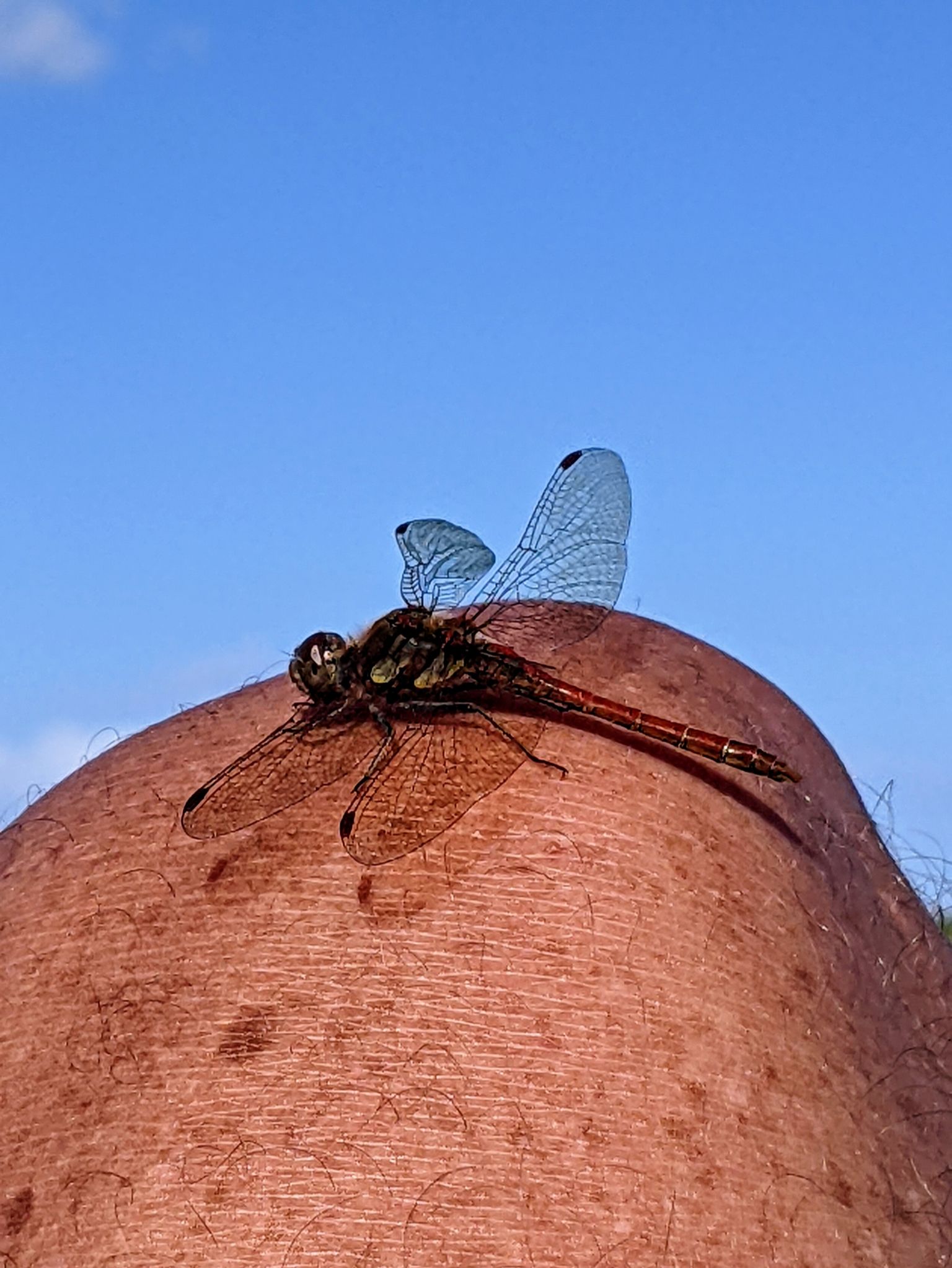 Community photo by Kevan