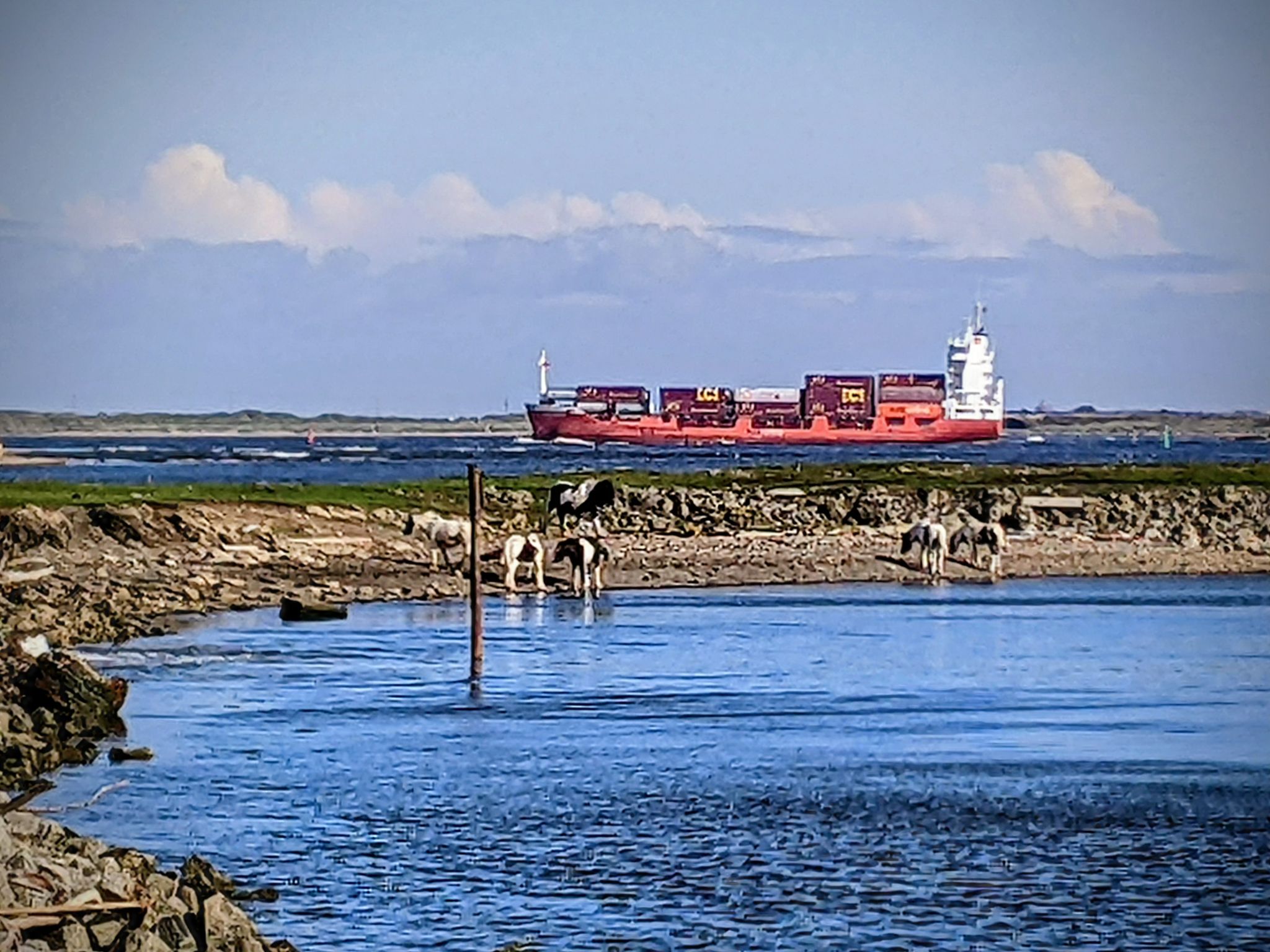 Community photo by Kevan