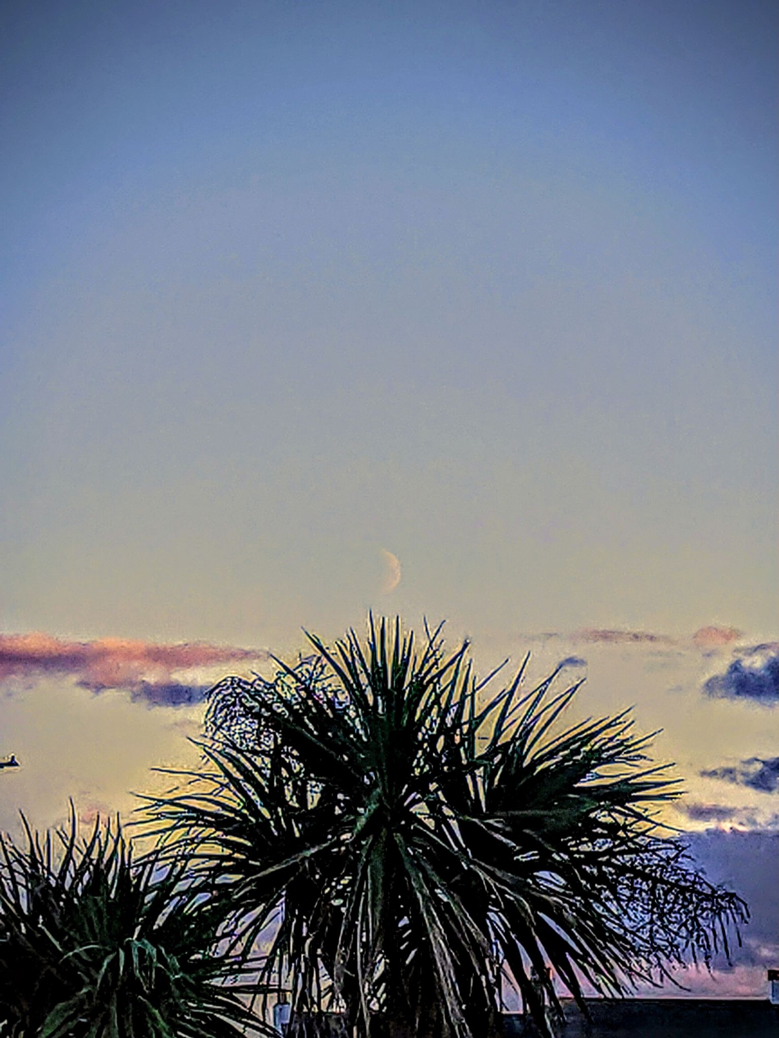 Community photo entitled Moon by Kevan Hubbard on 09/28/2025 at Seaton Carew ,Co Durham ,England