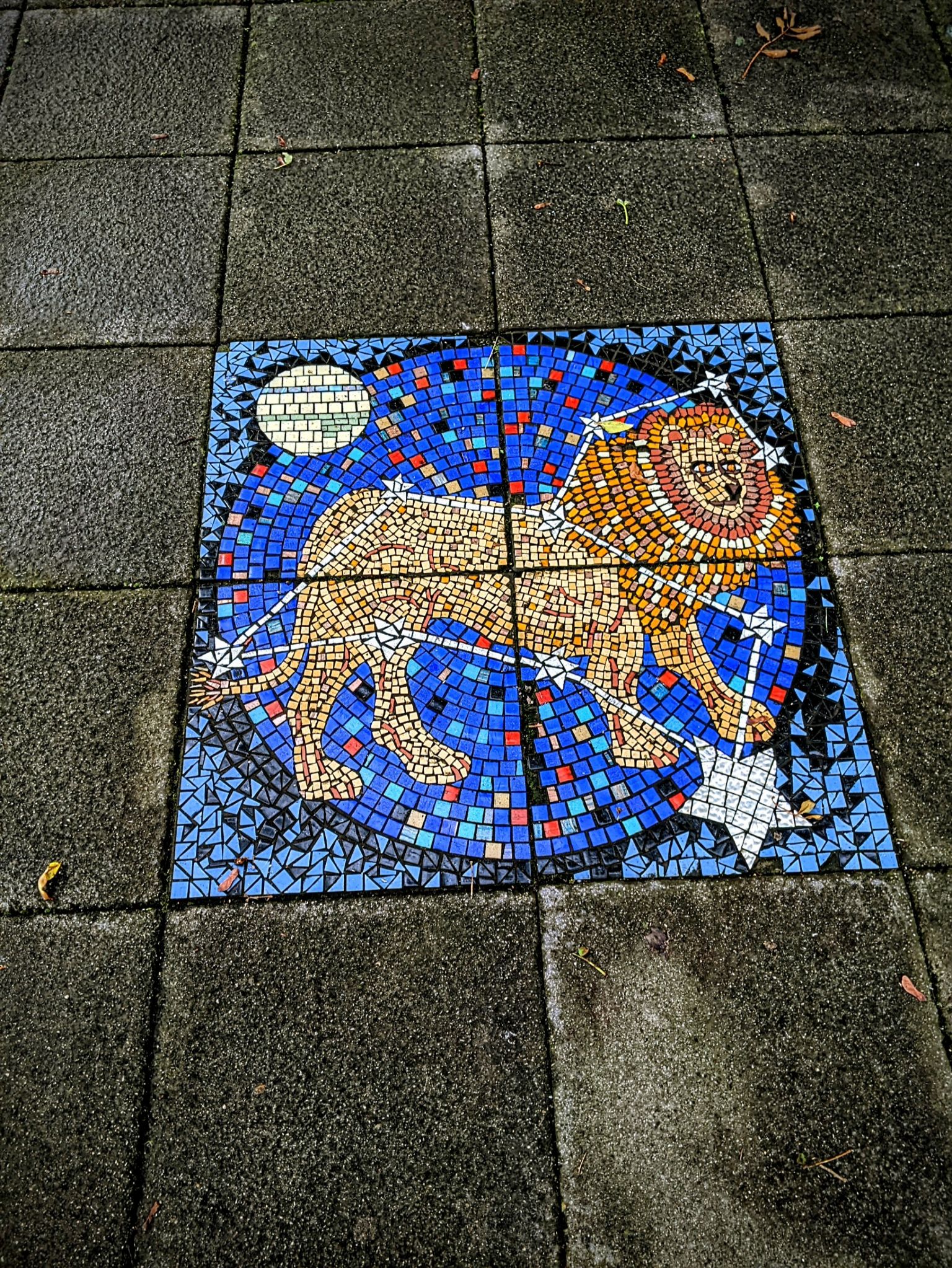 Community photo entitled Leo by Kevan Hubbard on 09/29/2025 at Glasgow ,Scotland