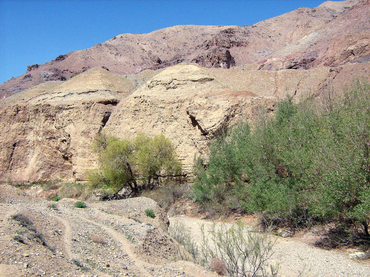 Community photo by Hassan