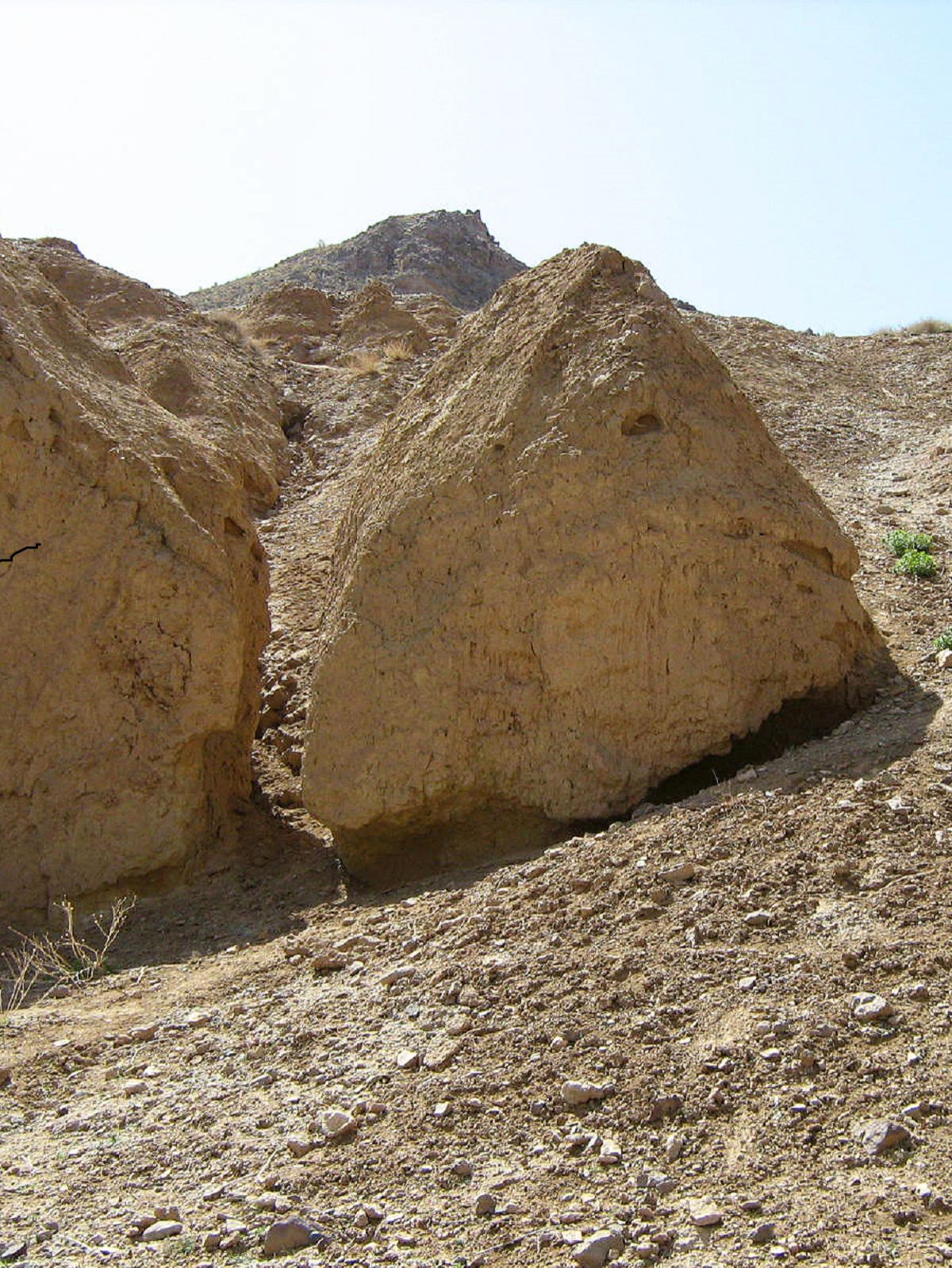 Community photo by Hassan