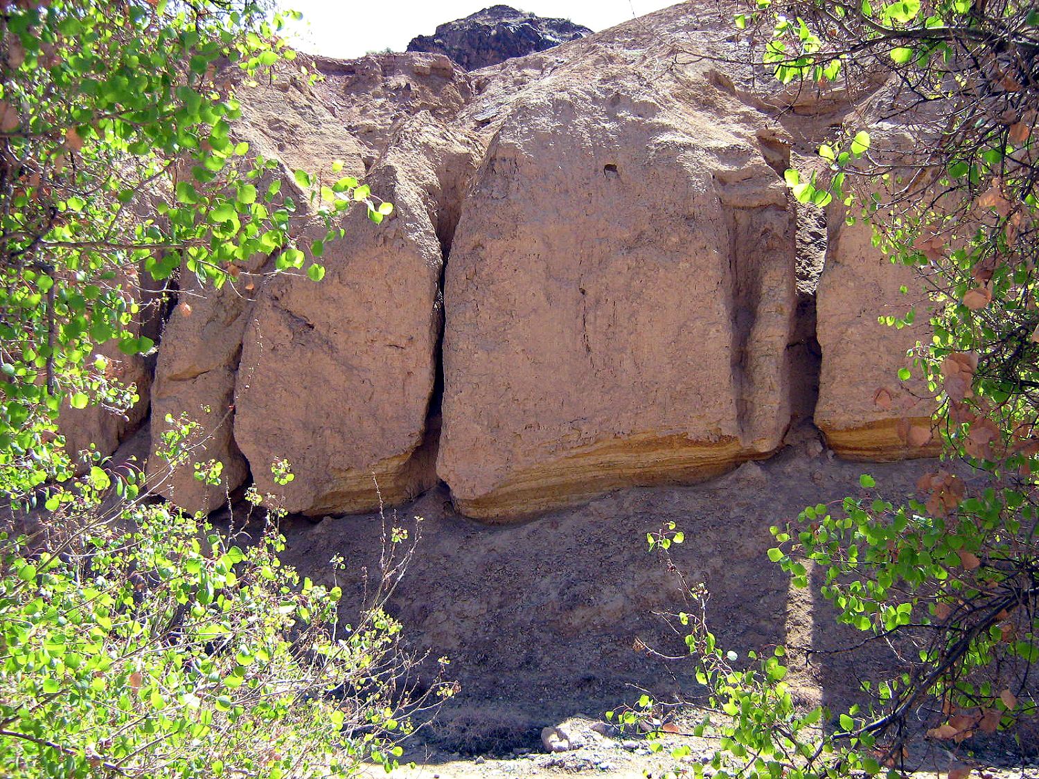 Community photo by Hassan