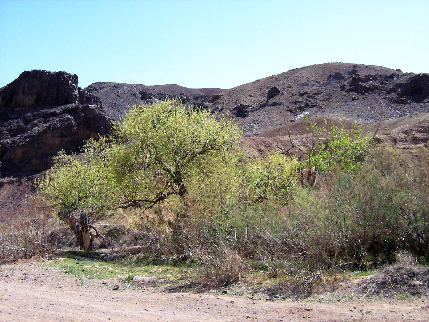 Community photo by Hassan