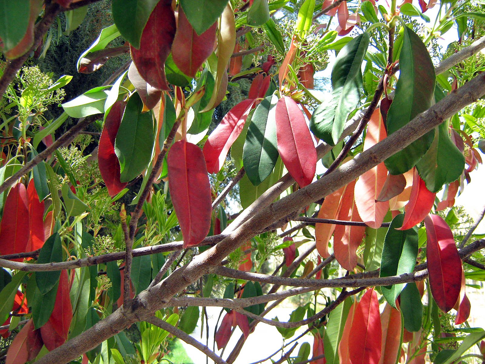 Community photo by Hassan