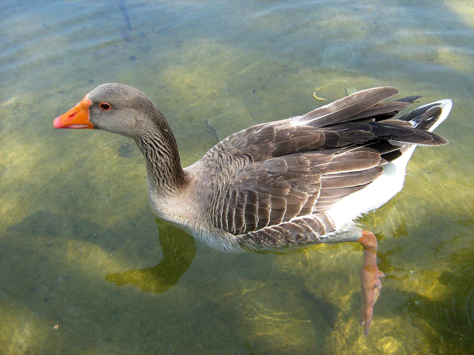 Community photo by Hassan