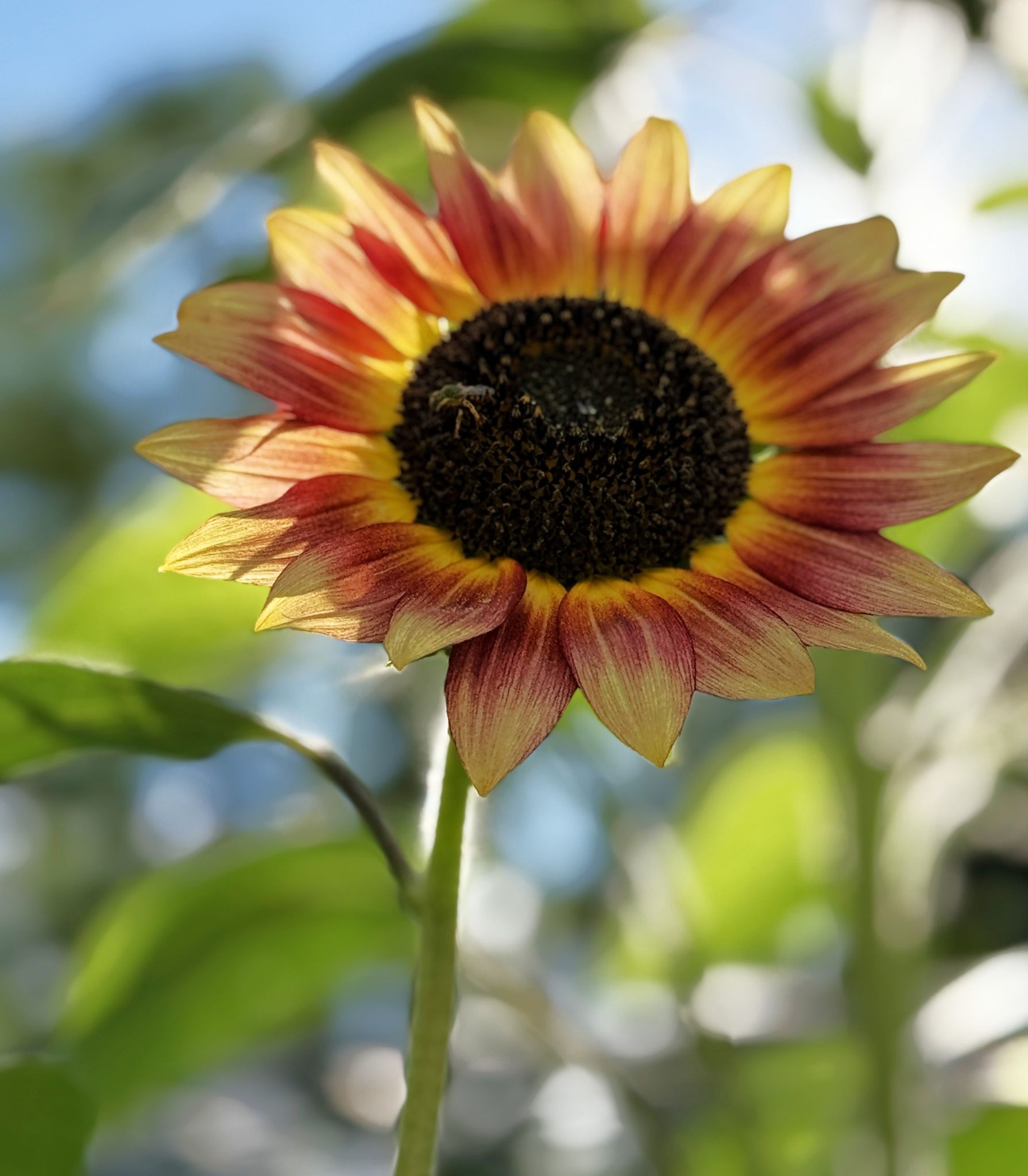 Community photo by Asha