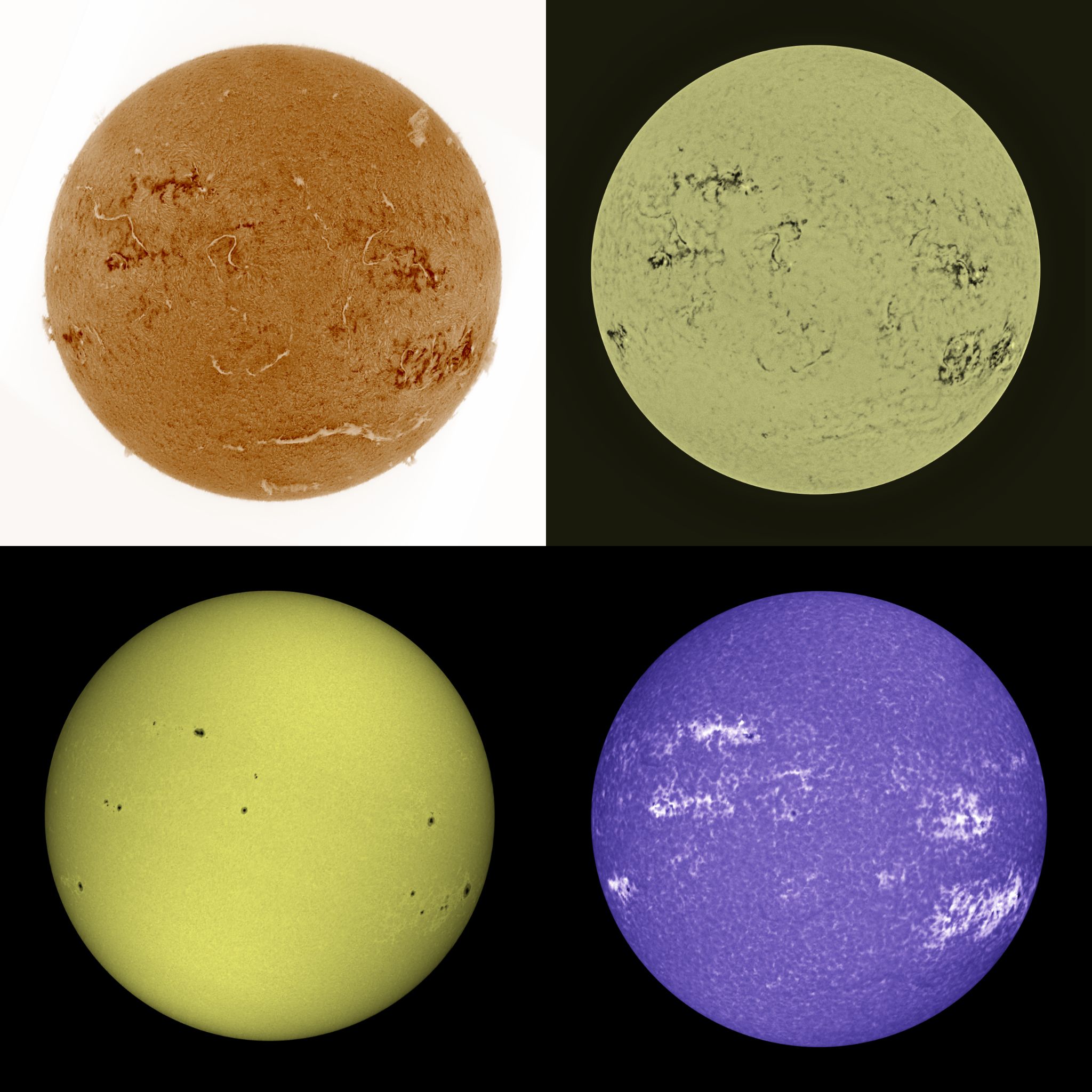 Community photo by Mario