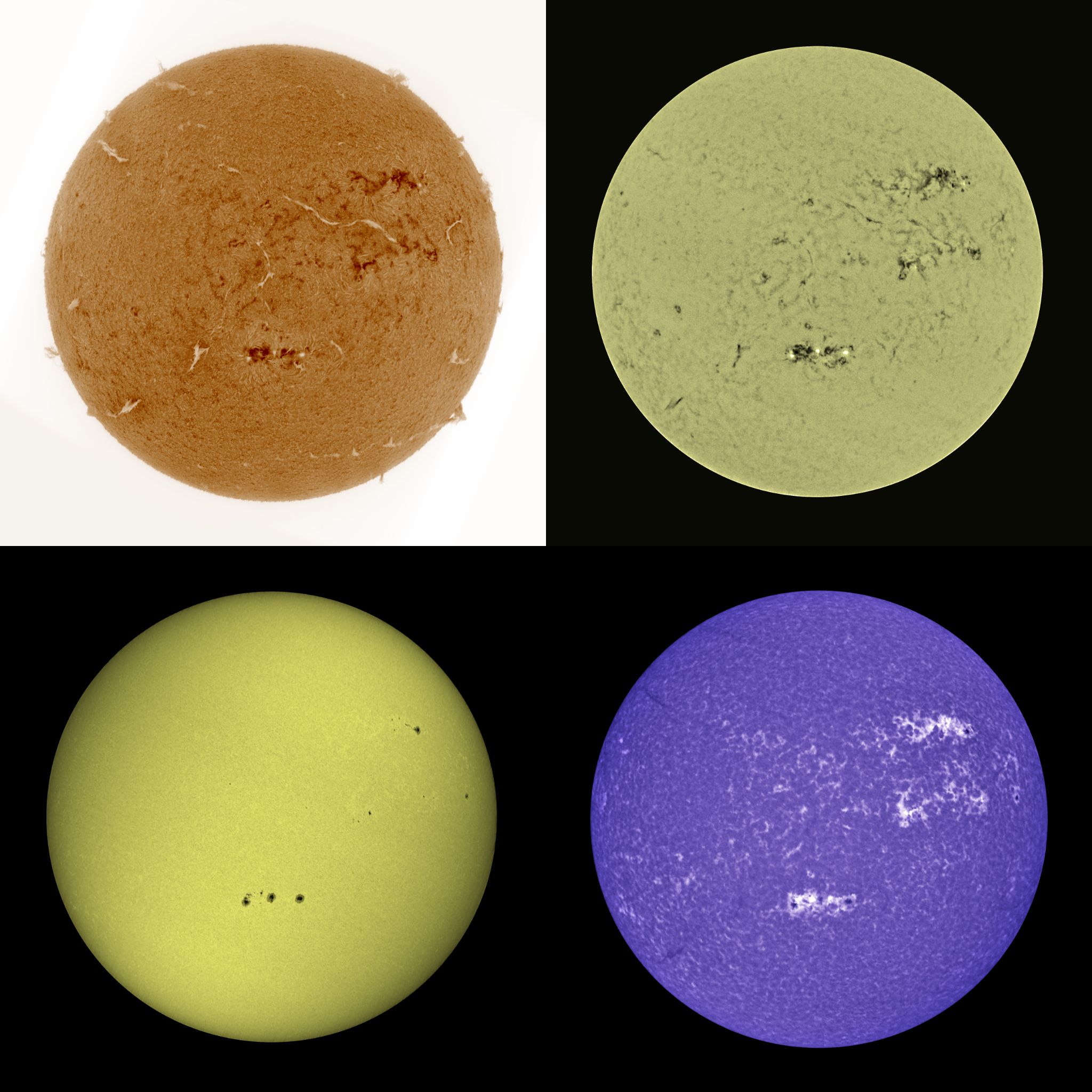 Community photo by Mario